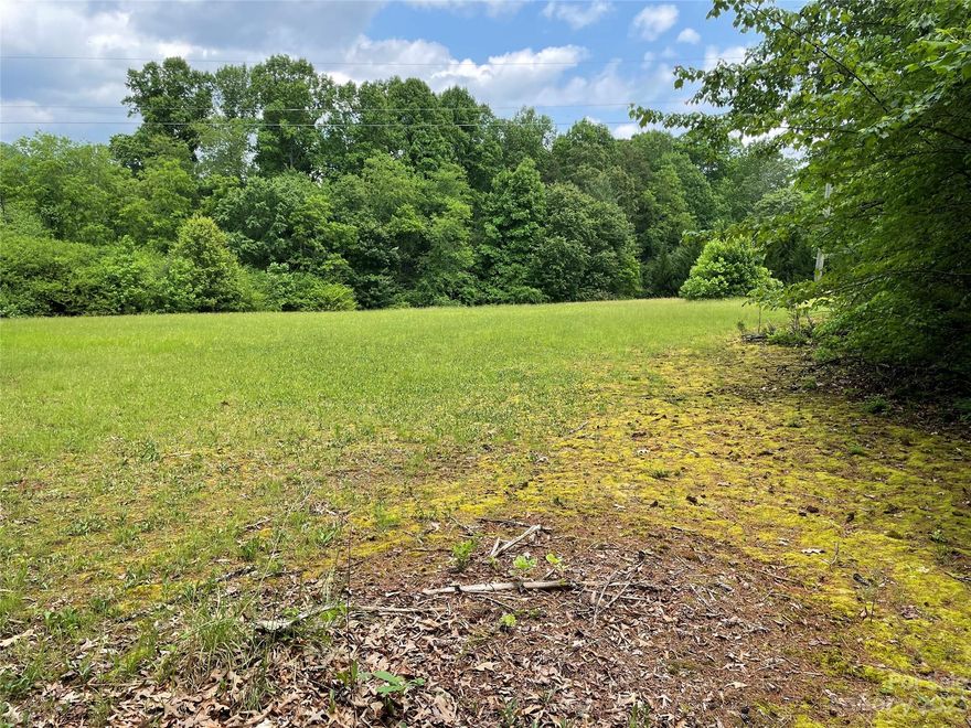 This unique opportunity to own -11 Gently Rolling Acres On Monte Vista Road- is a true gem! Approximately 550 Foot Of Road Frontage On Monte Vista Road, Approximately 30 Foot Of Road Frontage On Pete Luther Road, City Water On Monte Vista Road (Buyer To Check For Availability), At Least 1 Water Tap Already Existing, Possibly 2 Septic Systems Existing, Several Structures On Land Given No Value.