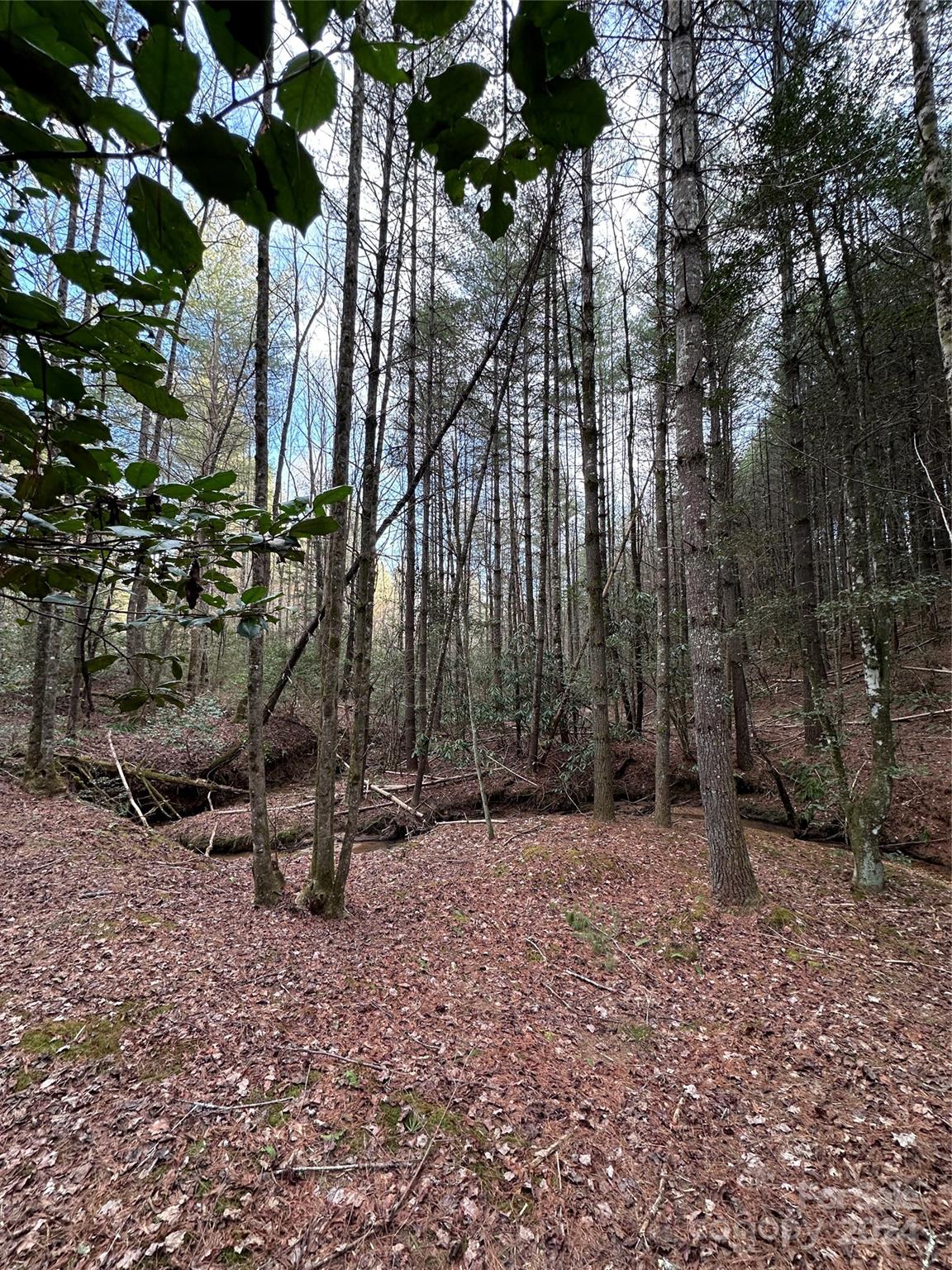 The Bluffs of Wilson Creek - Land