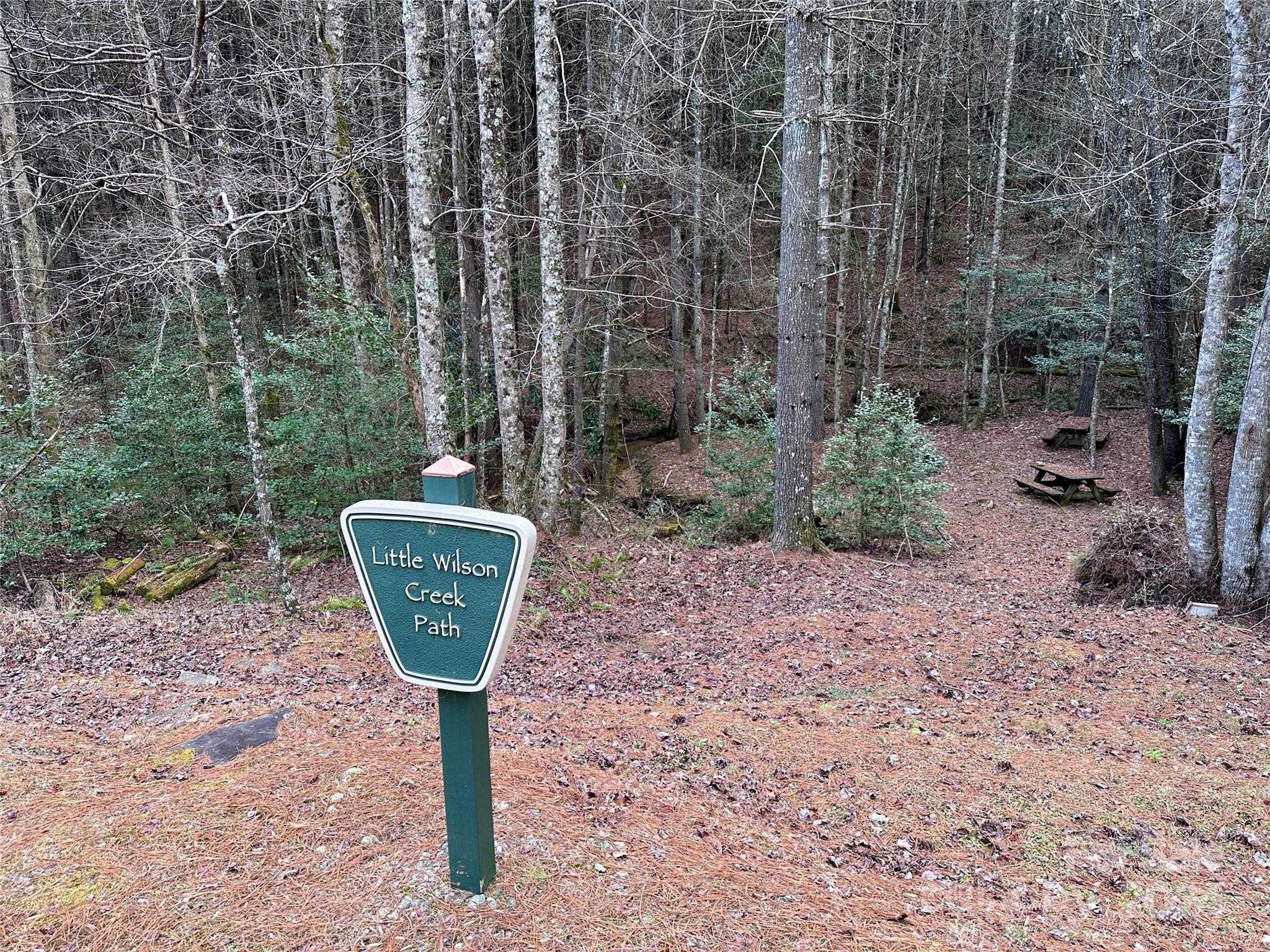 The Bluffs of Wilson Creek - Land