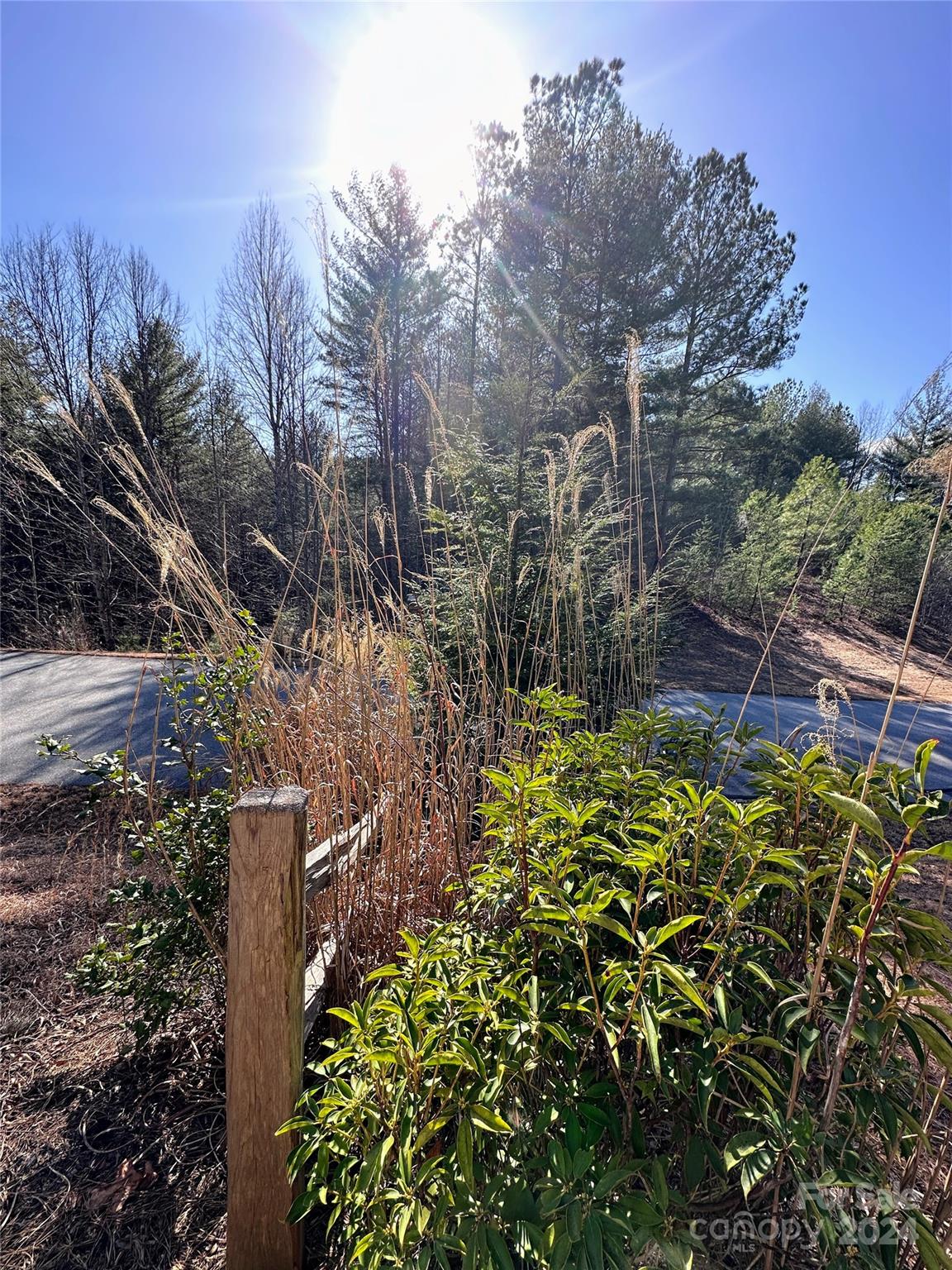 The Bluffs of Wilson Creek - Land