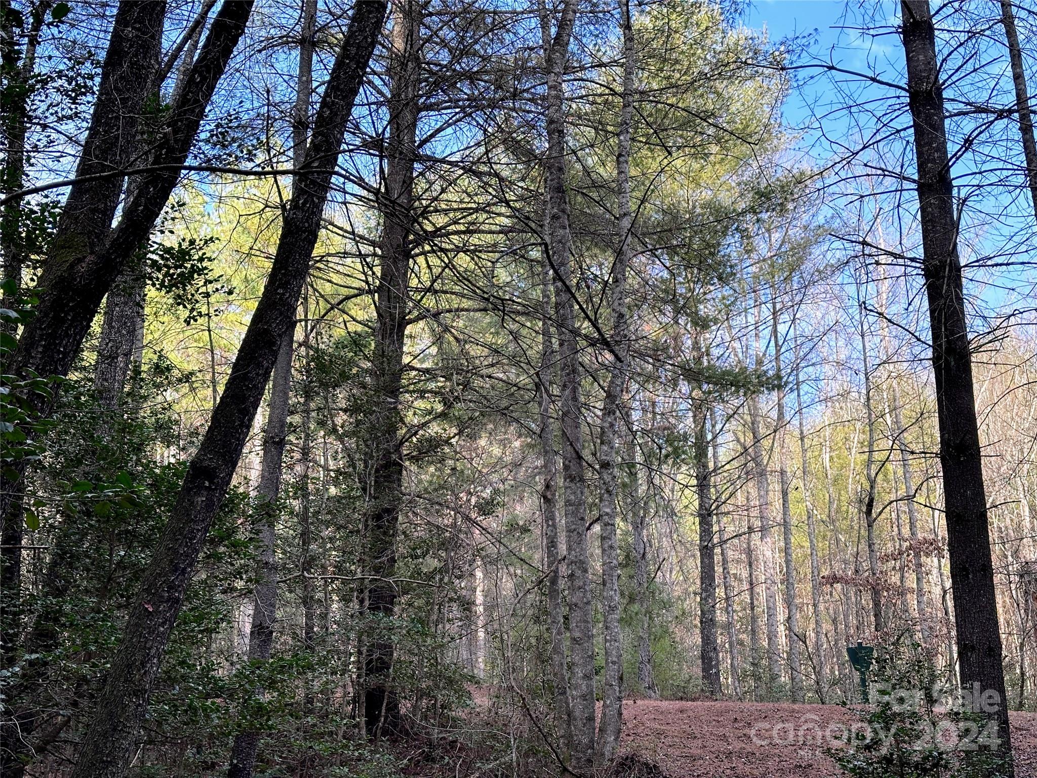 The Bluffs of Wilson Creek - Land