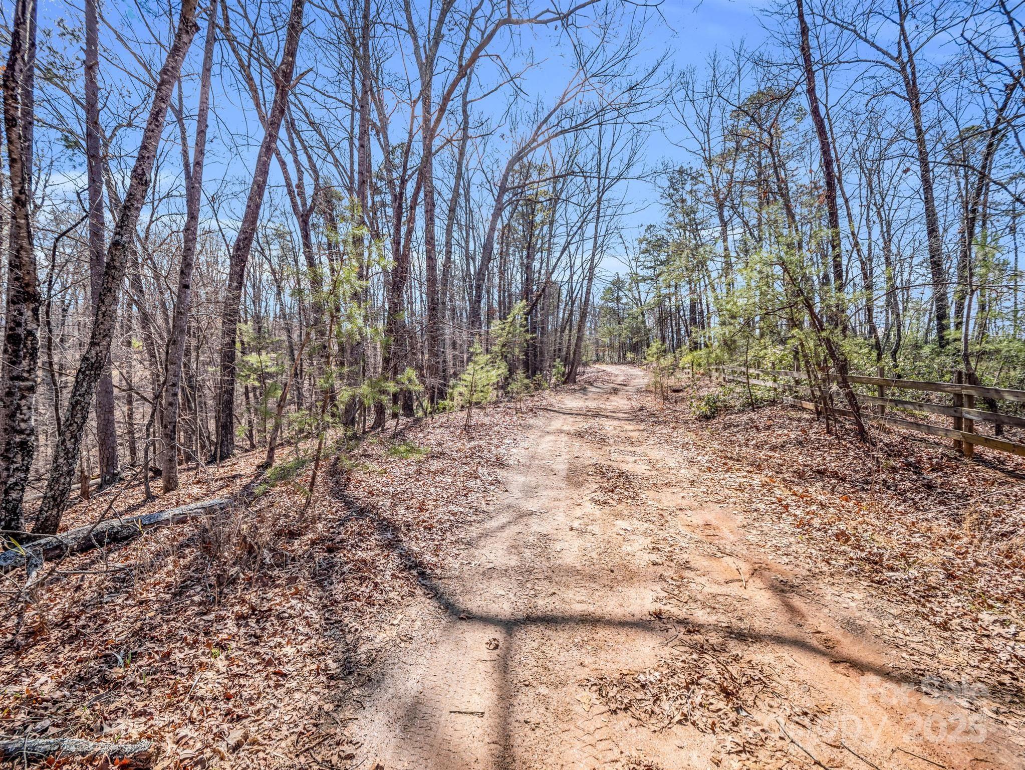 000 Forester Lane 24
