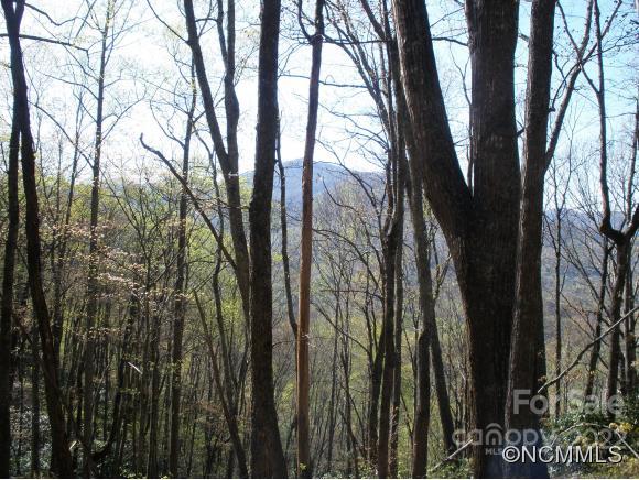 Dellwood Forest - Land