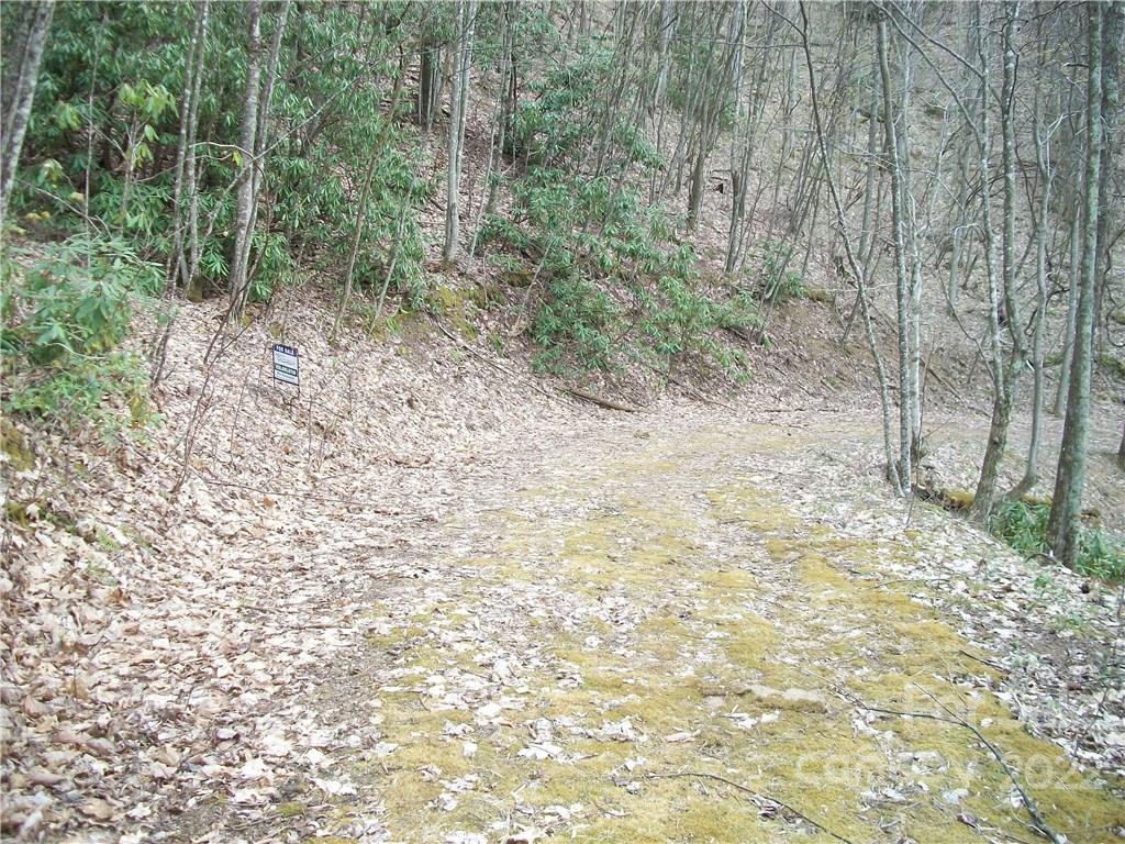 Dellwood Forest - Land