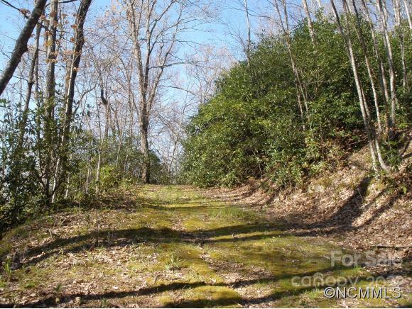 Dellwood Forest - Land