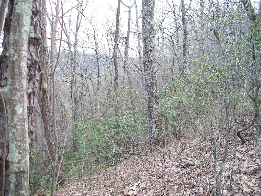 Dellwood Forest - Land