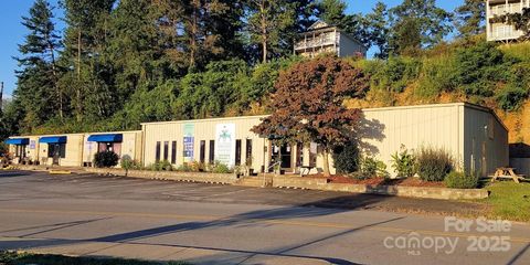 401 Kanuga Road Hendersonville NC 28739