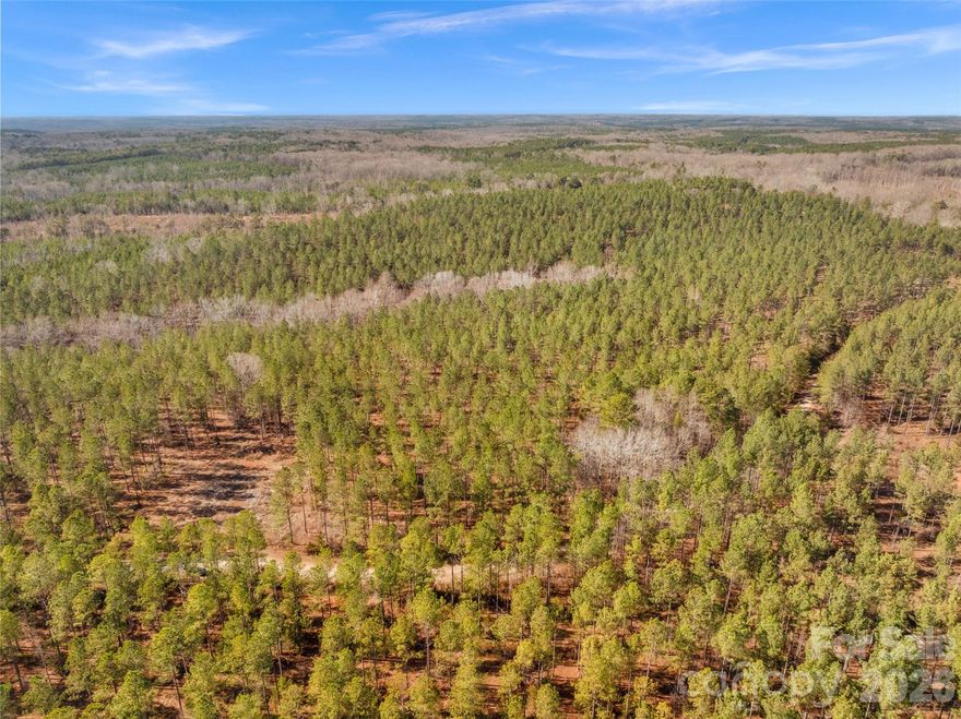 Amazing opportunity for 10.4 Acre homestead in the highly desirable McConnells, SC! This is a Private wooded lot with mature manicured pines and other mixed timber such as oak trees. The combined topography, mature forest, and creek bottom provides gorgeous nature views and is aesthetically pleasing. If you are wanting a large homestead, farm, equestrian estate, large garden, hunting & recreation activities, this is the land for you! A healthy forest with a water feature produces an abundance of wildlife; this land is full of deer and other animals. Located in the highly desirable McConnells, SC, this land is very close to modern amenities; About 20 min from Dave Lyle BLVD Rock Hill; close proximity to Fort Mill, Rock Hill, and York. There is hundreds of feet of road frontage on Peacehaven Dr. There is electric utilities available to the north and to the south. The size of this land with pine production also allows an opportunity to apply for deferred property taxes through York County tax assessors office. Pursue building your custom dream home!  Your country lifestyle awaits!  ** Survey available ** No Manufactured Homes **
