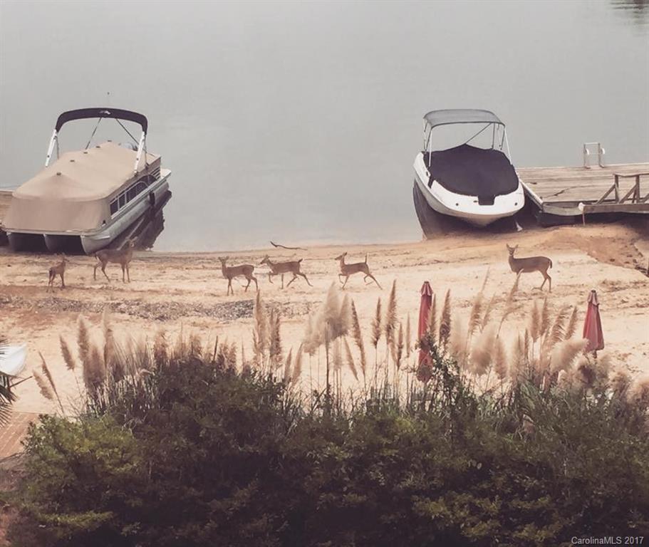 Tega Cay - Residential