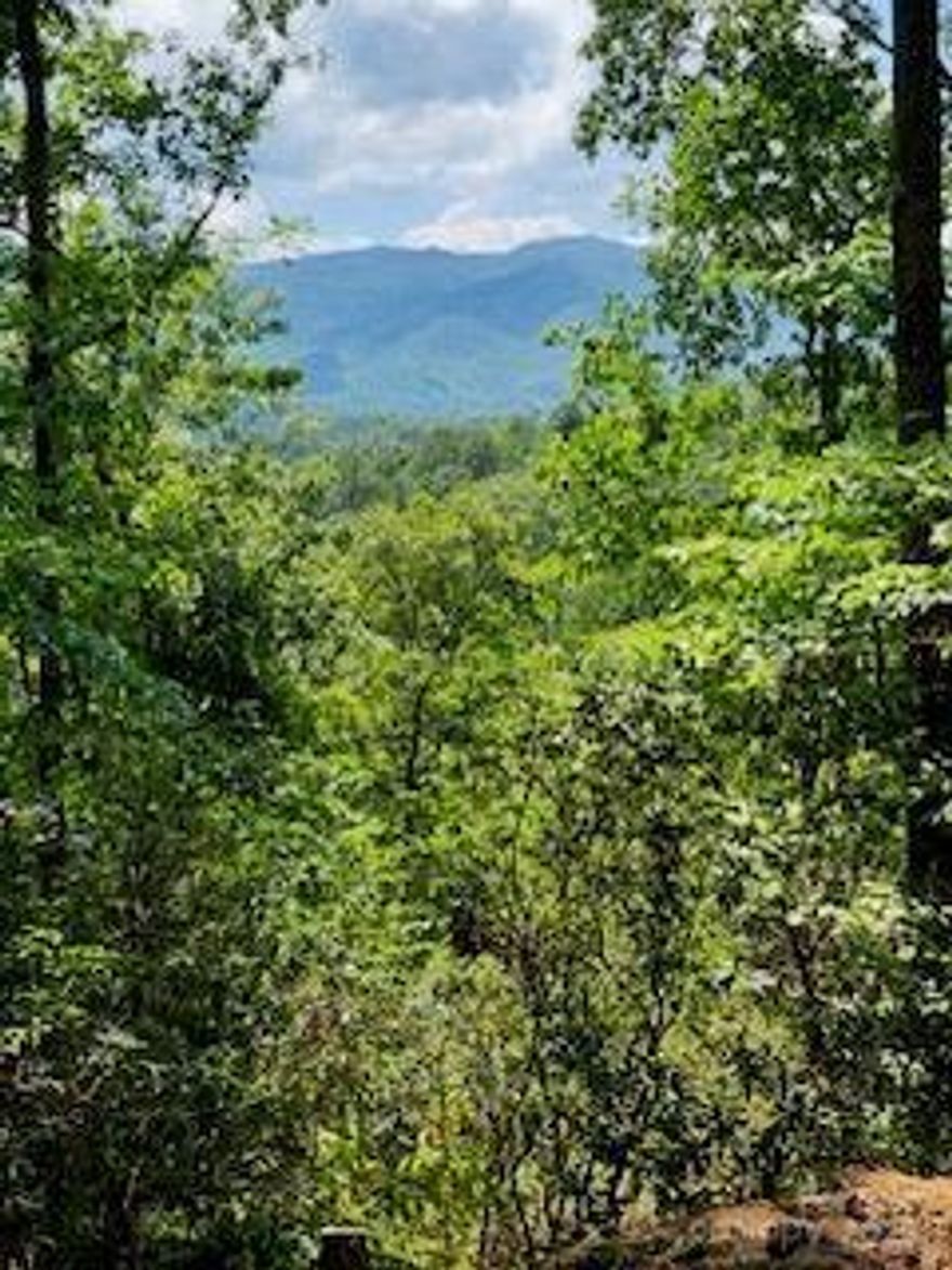 Located in Mountain Overlook with paved roads and great view potential. Lot and driveway was just cleared plus a view opening was cut through the trees.