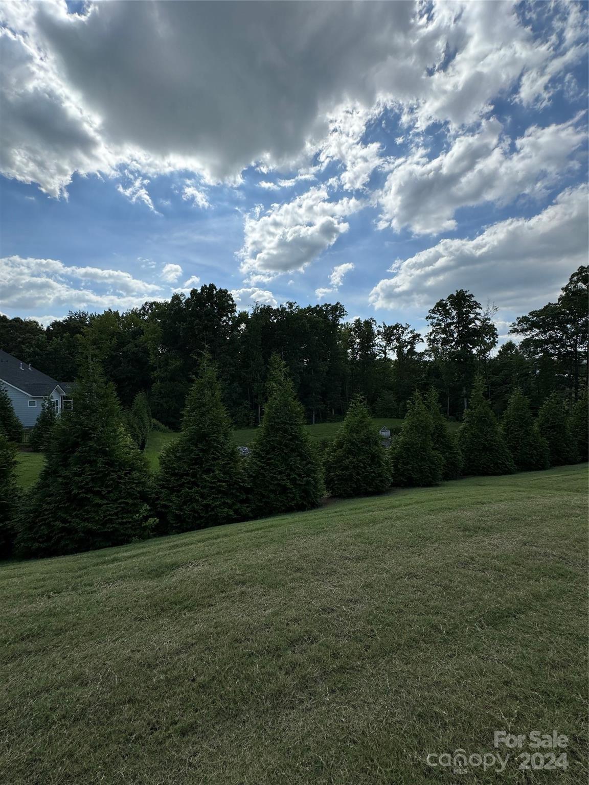 Springview At Bailes Ridge - Residential