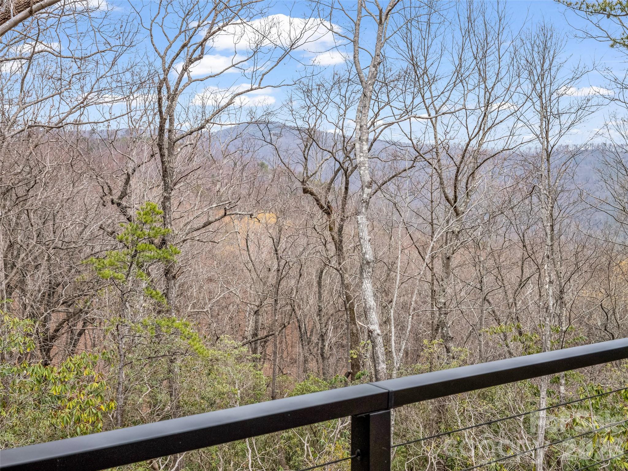 Rumbling Bald on Lake Lure - Residential