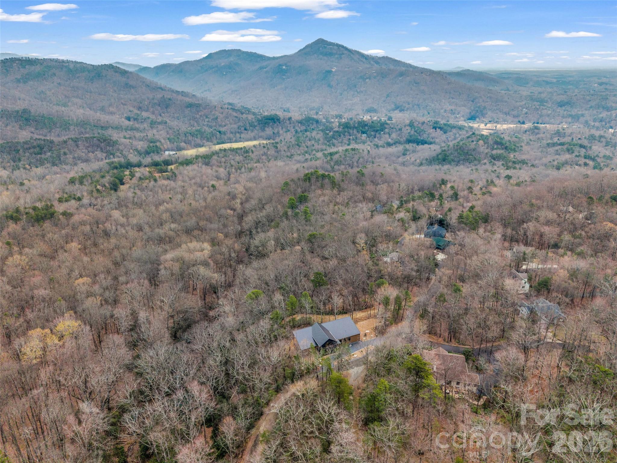 Rumbling Bald on Lake Lure - Residential