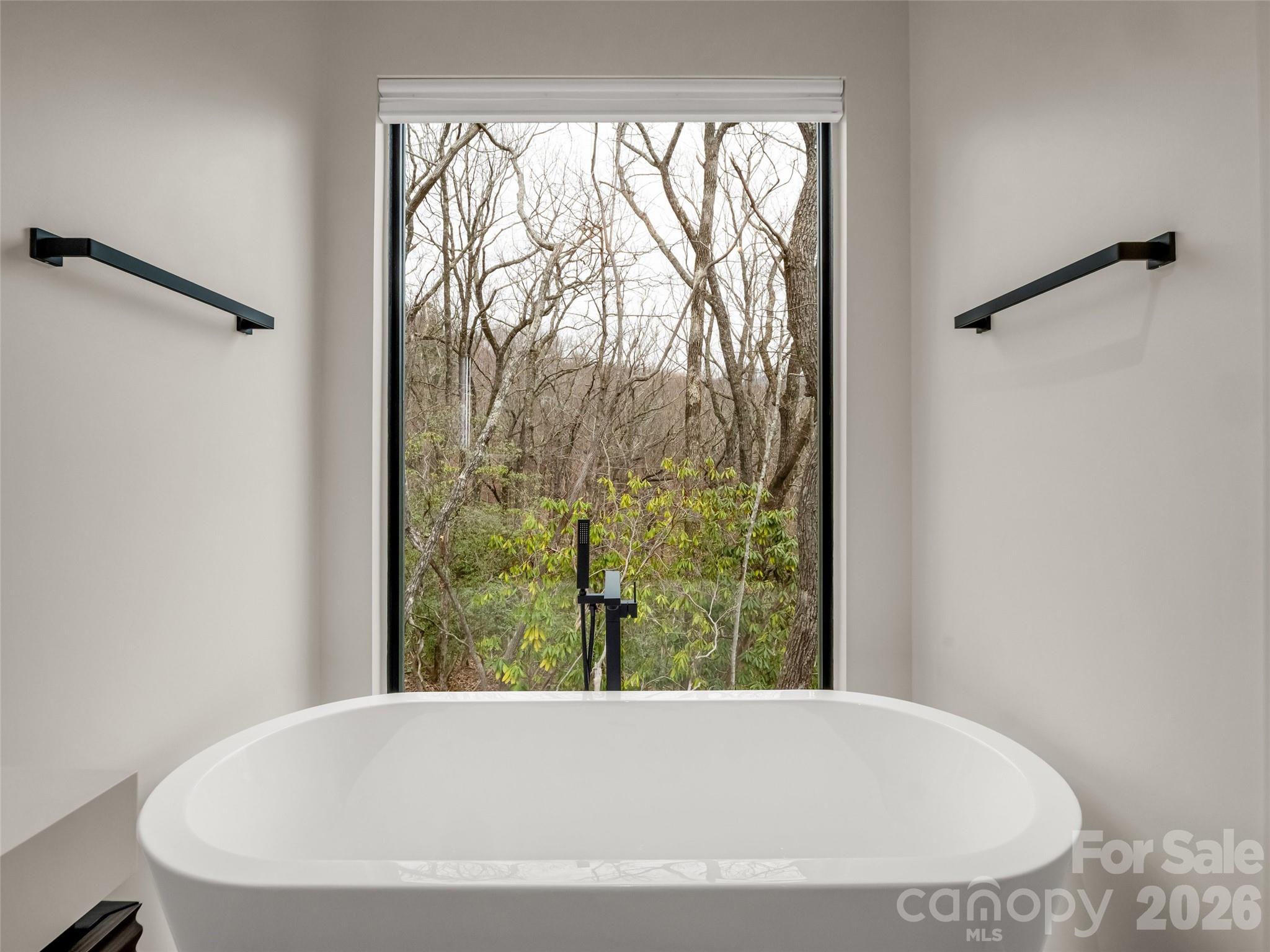 Rumbling Bald on Lake Lure - Residential