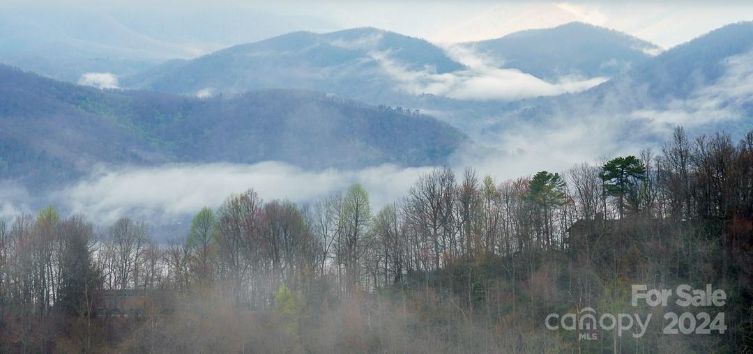 Connestee Falls - Residential