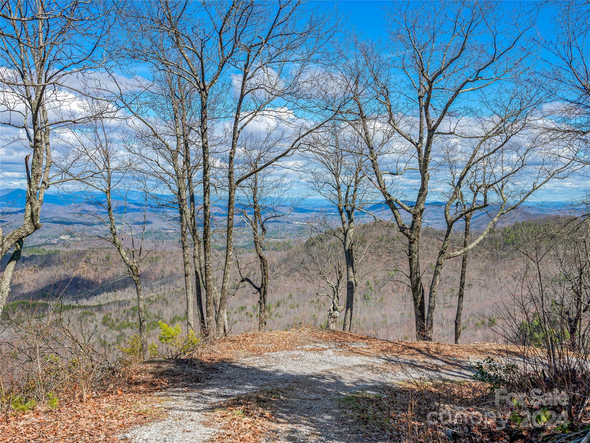 0 Devin Ridge Lane 96