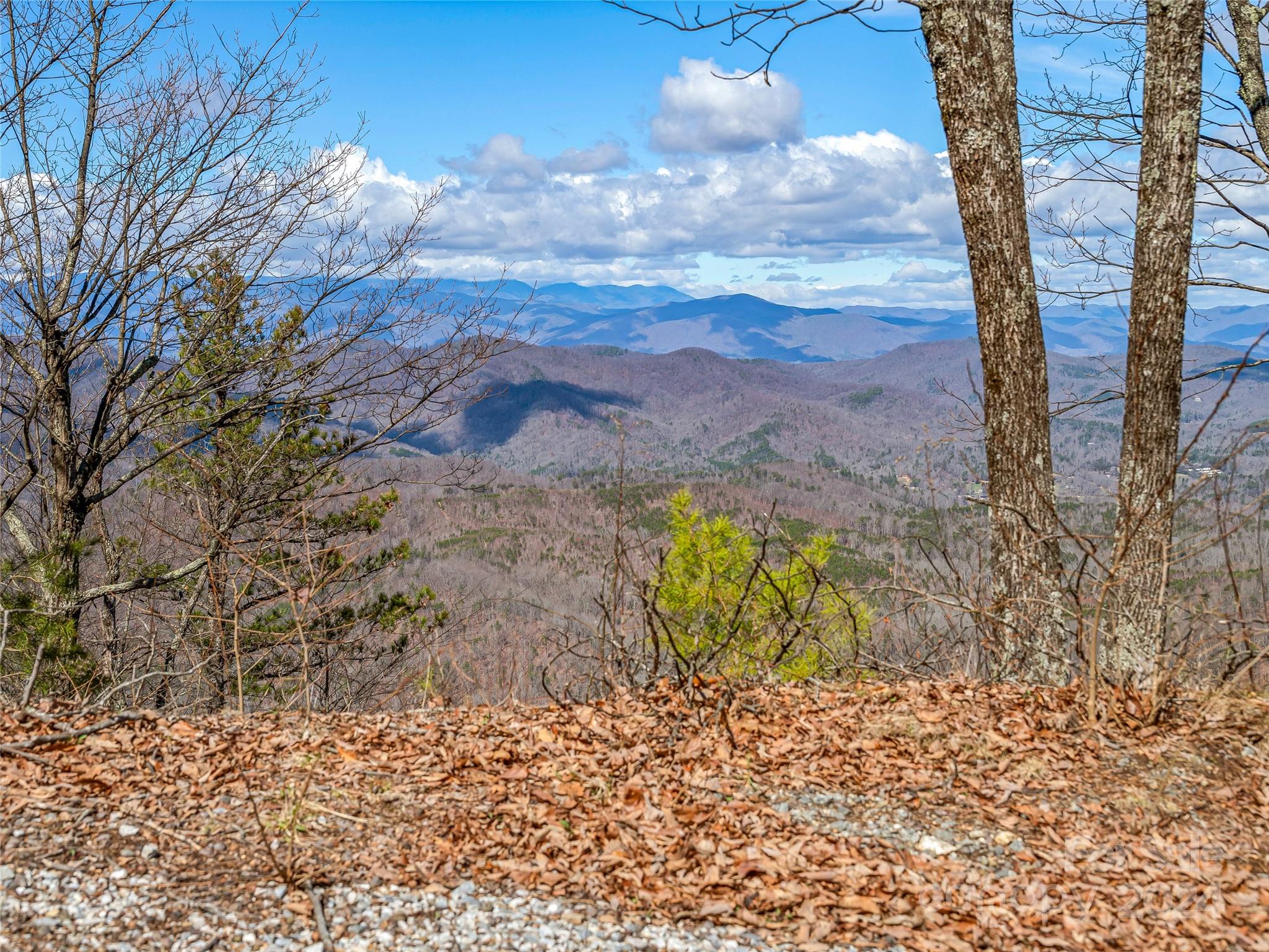 0 Devin Ridge Lane 96