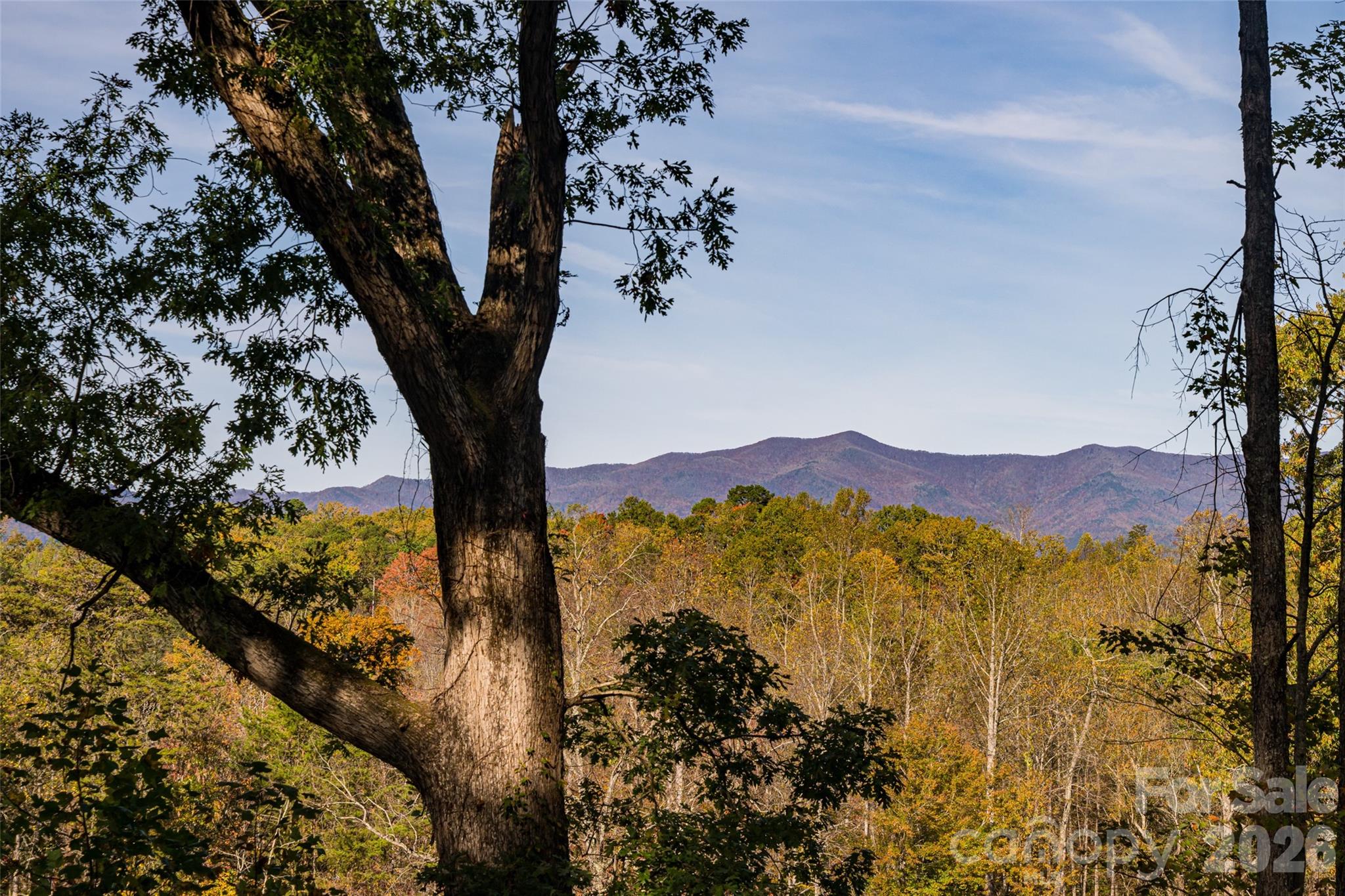 Jacks Mountain Preserve - Residential