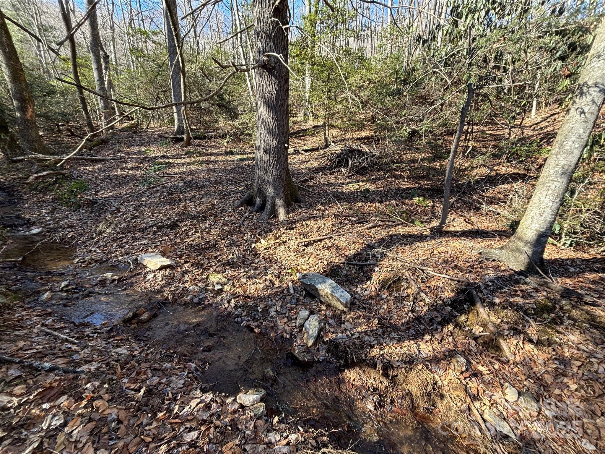 Lake Sheila - Residential