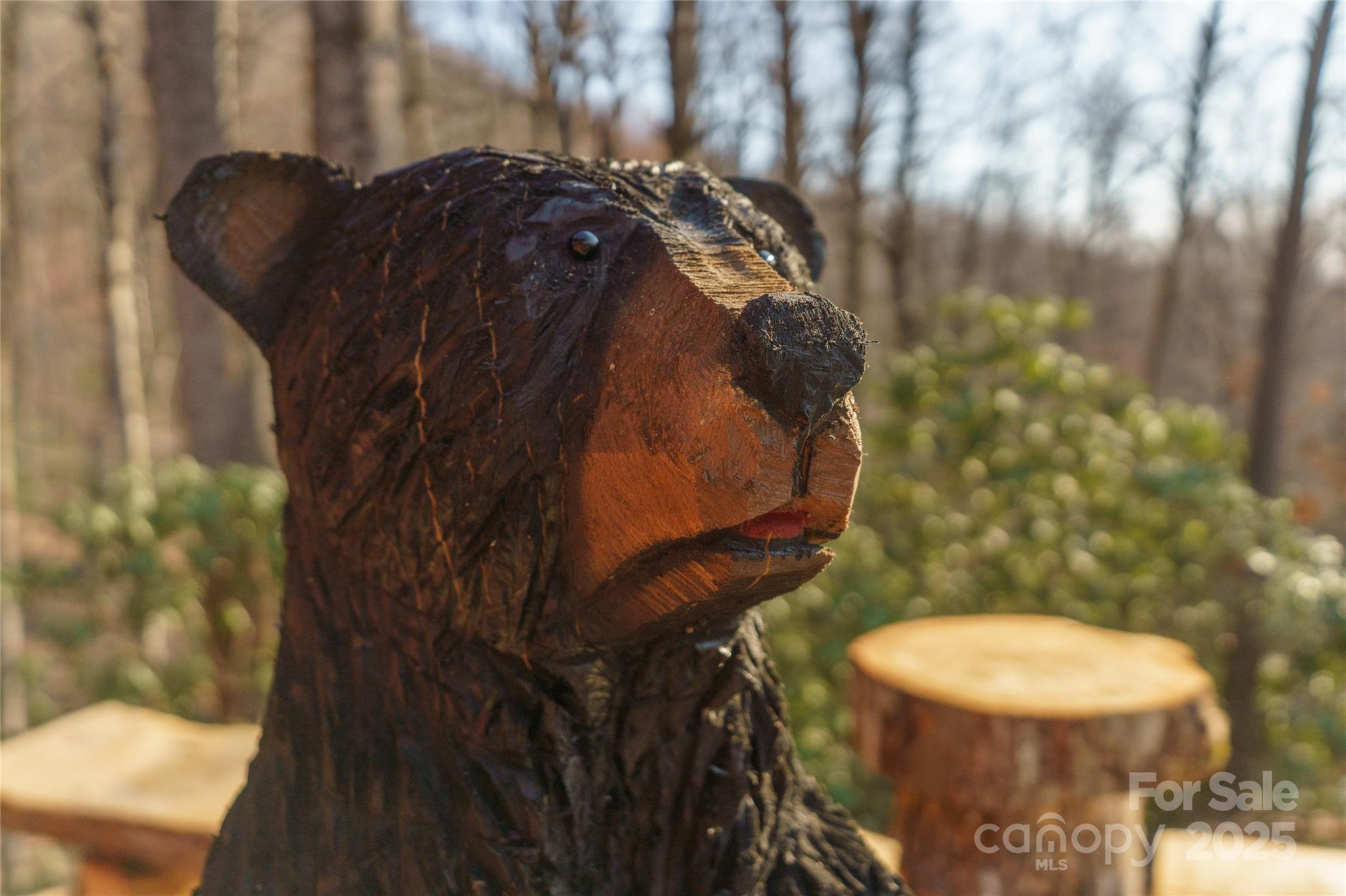 Lake Sheila - Residential