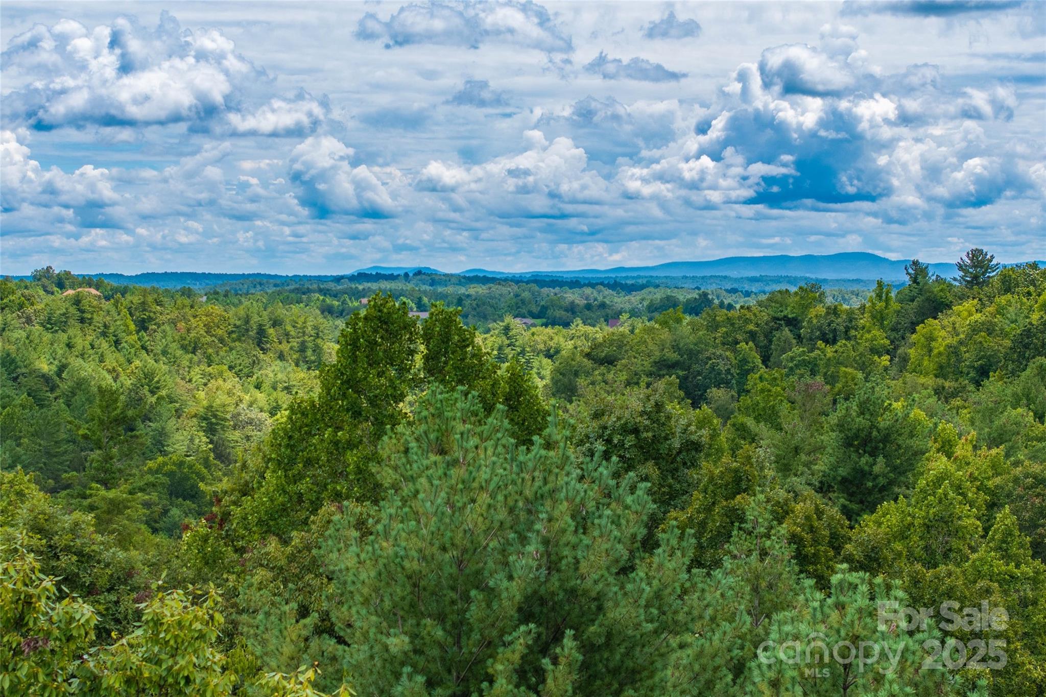 The Coves Mountain River Club - Land
