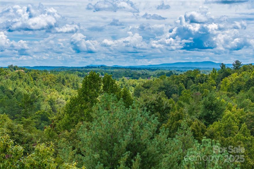 !! YOUR FIRST YEAR HOA FEES OF TO BE PAID BY SELLER !!  Discover the perfect blend of privacy and convenience with this 5.5-acre wooded homesite in The Coves Mountain River Club, a premier gated community in the Blue Ridge Mountains. Offering southern-facing views of the South Mountain Range, this homesite is ideally situated near the community’s stunning Pisgah Mountain Lodge clubhouse.

The land features a gentle, walkable slope and a very buildable homesite, making it an excellent option for a home design with a walkout basement. Adding to its natural beauty, the property includes nearly 280 feet of meandering stream frontage, providing both charm and tranquility.

This homesite offers the best of mountain living: seclusion among the trees, breathtaking views, and close proximity to world-class amenities—including the clubhouse, swimming pool, fitness center, equestrian facilities, hiking trails, and river access.