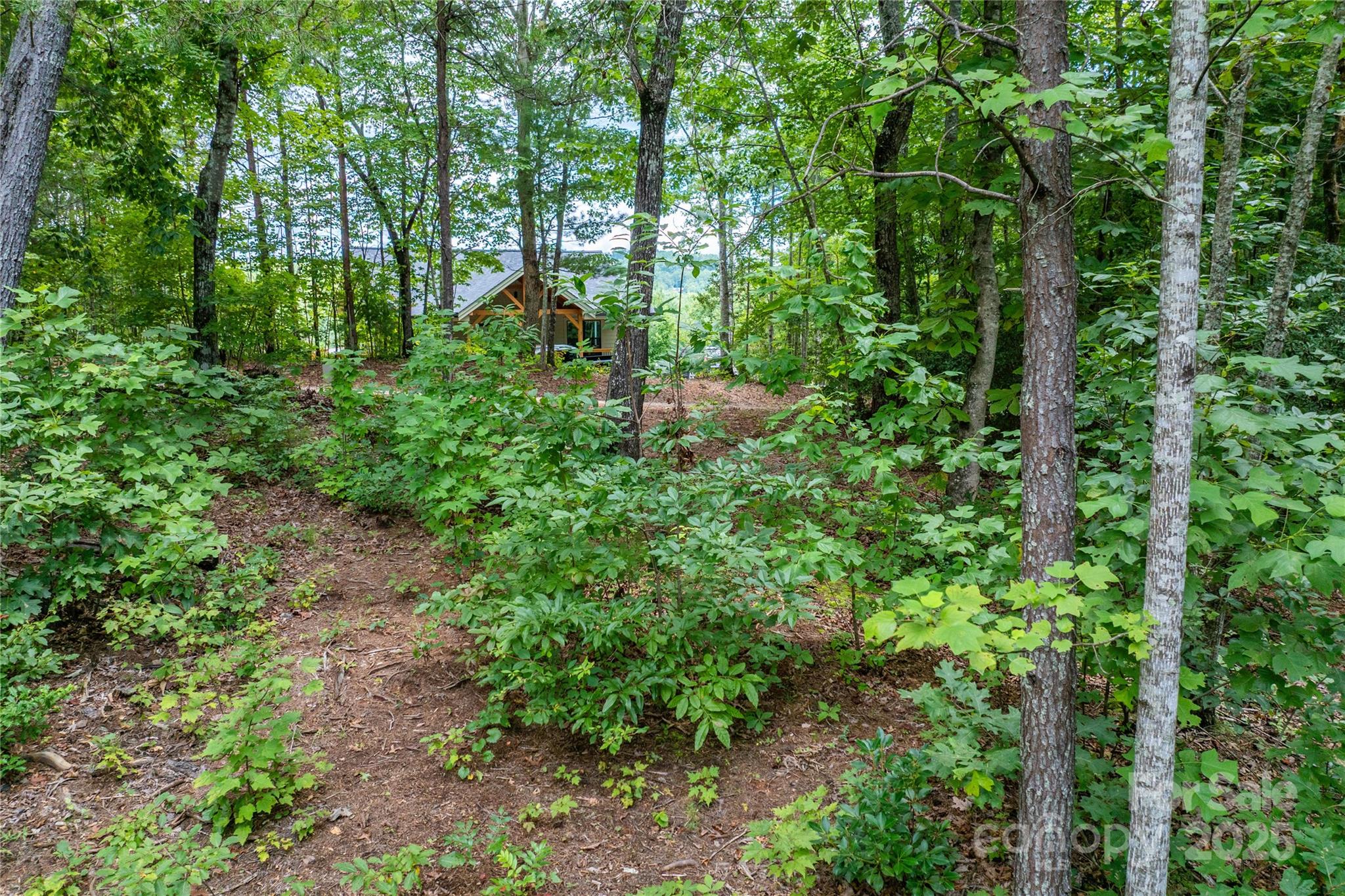 The Coves Mountain River Club - Land