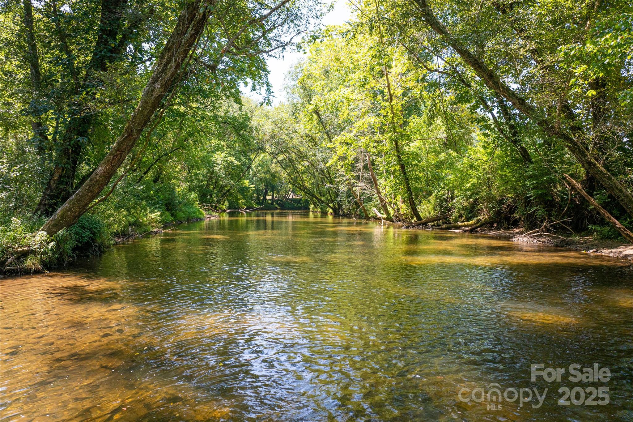 The Coves Mountain River Club - Land