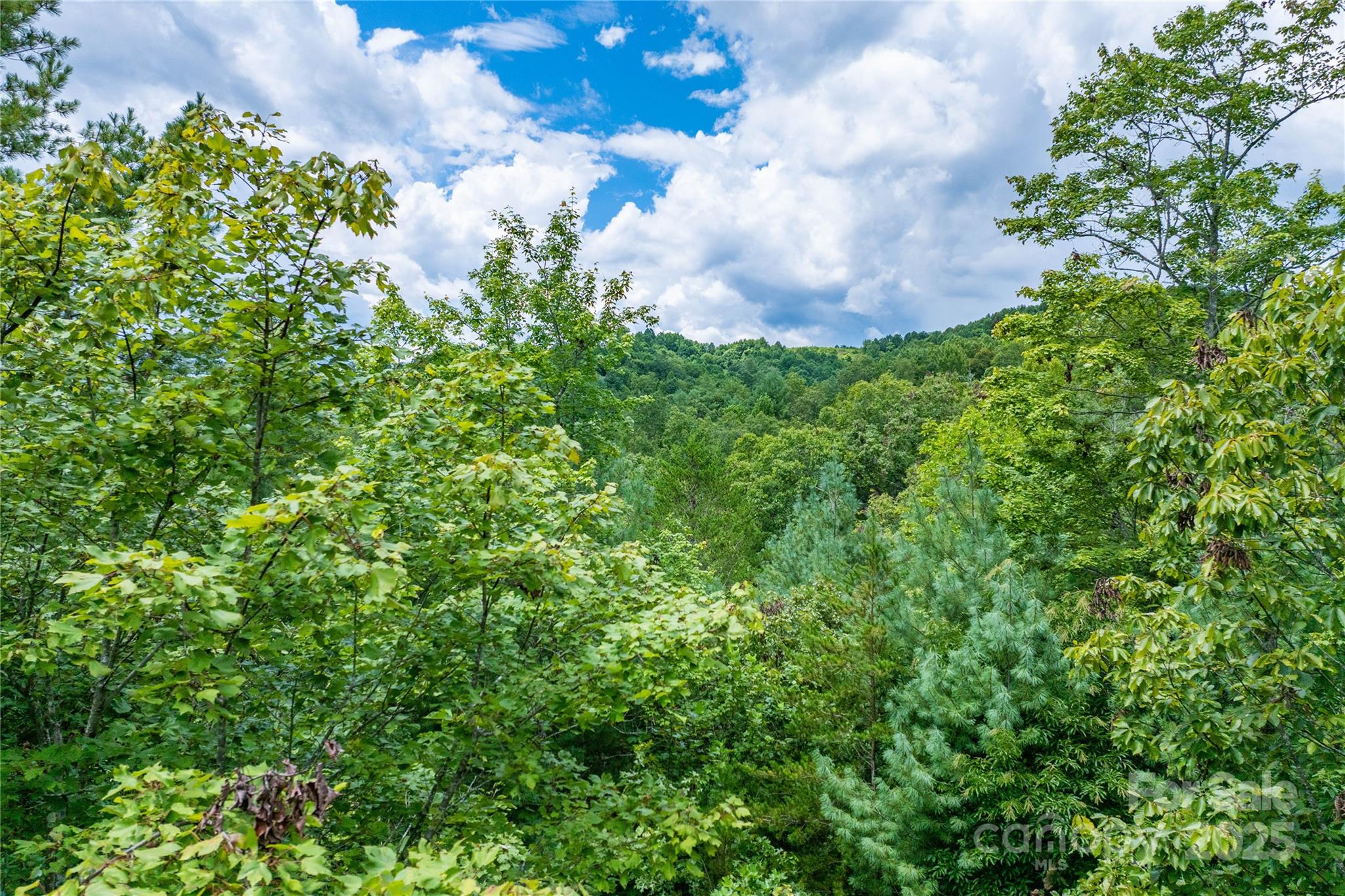 5.5 Acres Dogwood Way 840a