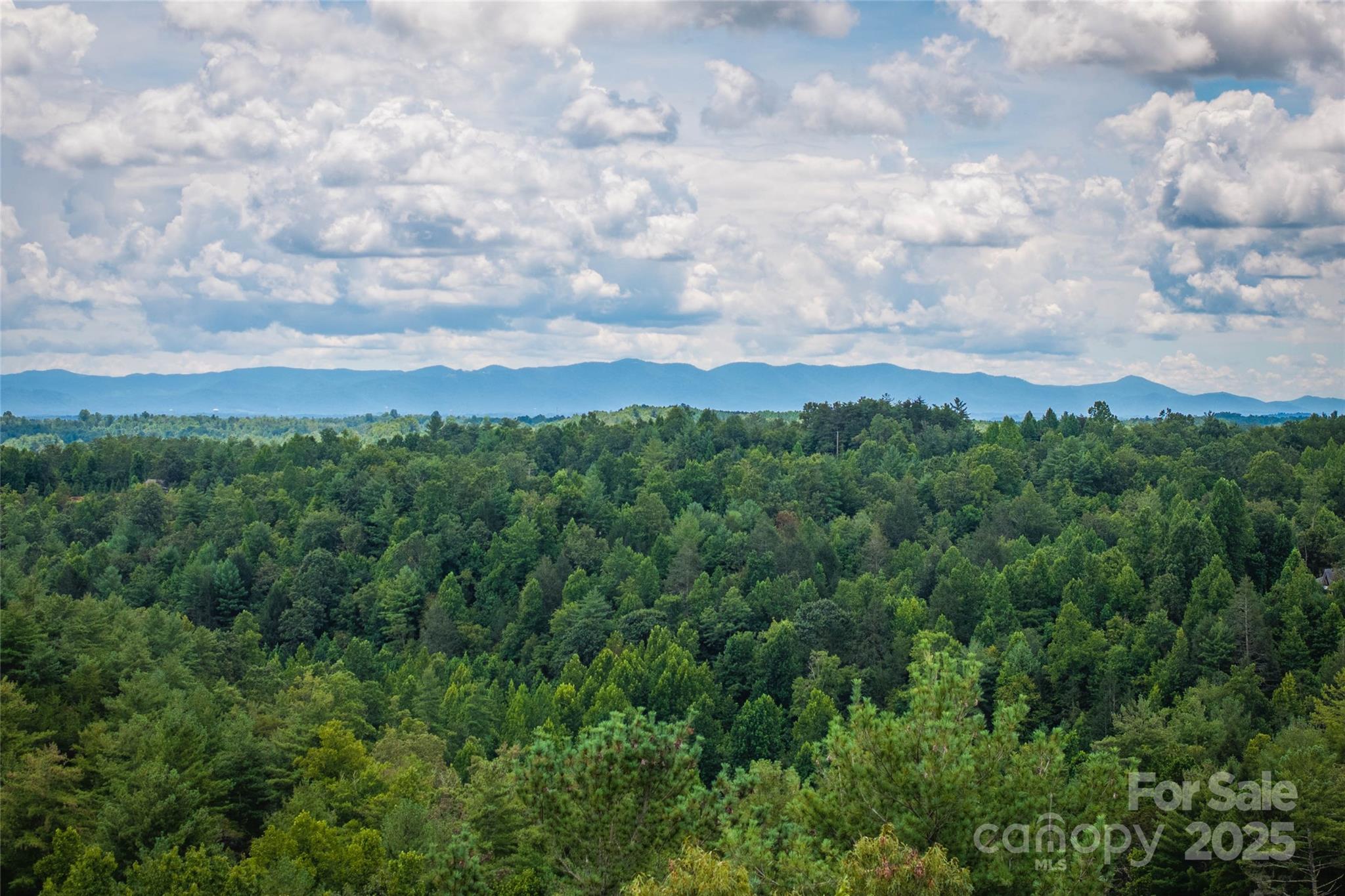 5.5 Acres Dogwood Way 840a