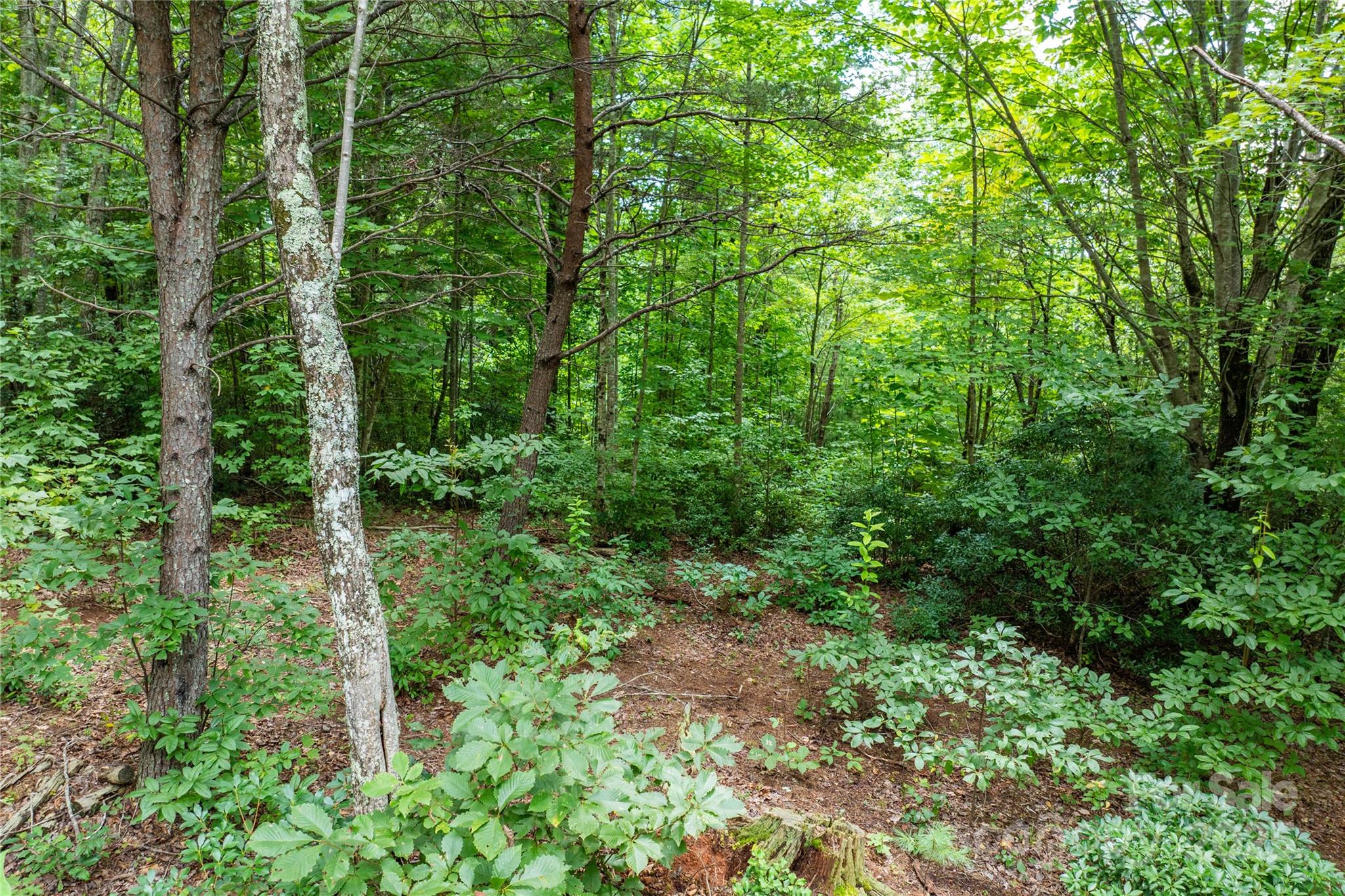 The Coves Mountain River Club - Land