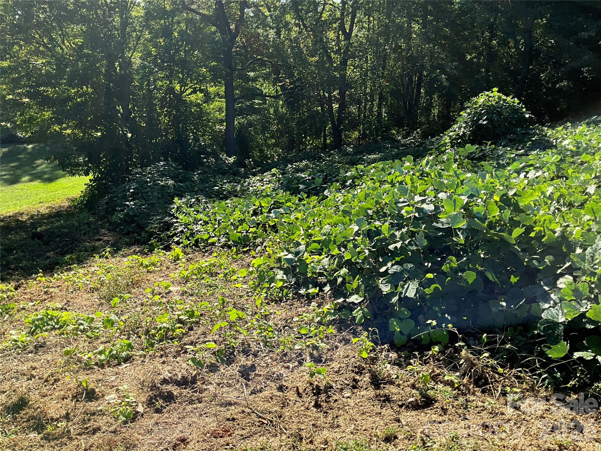 Lot 7 Macy Court