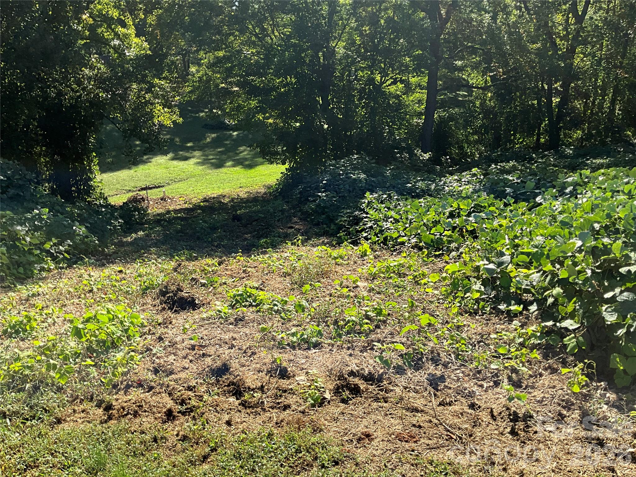 Lot 7 Macy Court