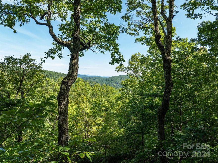 Build your mountain sanctuary on this gorgeous homesite and embrace the serene allure of the Blue Ridge Mountains in the prestigious Cliffs Valley North section of Zirconia, North Carolina.  This exceptional homesite offers panoramic mountain views toward the North and Northwest, with nine visible ridgelines, and mountain views toward the East and West.  Situated in the highly sought after North section of the community, it provides convenient and direct access to Highway 25, making Greenville, Hendersonville, and Asheville easily and quickly reachable.  At a high elevation of over 2,500 feet, you’ll enjoy cooler summer temperatures.  The property offers two potential entrance locations, accessible from either Spruce Lane or Panther Mountain Road.  Offering prime topography, this serene 4+ acres provides multiple options for an easy build-site.  In the middle of the property there is near-level terrain that is very rare, ideal for a single-story home, while the gently sloping acreage is perfect for a lower-level walkout.  This breathtaking and private homesite includes underground power lines, and the $41,500.00 Blue Ridge Water tap fee has already been paid.  In addition, a Club membership at The Cliffs is available with this property, granting access to all seven luxury and amenity rich communities.  A single membership with this homesite opens up seven worlds and is your invitation to an unparalleled lifestyle, serving as your "passport" to the beautiful and premier Blue Ridge Mountains and Lake Keowee Cliffs communities across the Western Carolinas.  Membership benefits include seven championship courses designed by legends like Jack Nicklaus and Tom Fazio.  Play a new nationally acclaimed course every day of the week.  You will enjoy comprehensive access to seven wellness centers, pools, and premier tennis and pickleball complexes, and experience outdoor adventures while exploring over 200 miles of hiking trails.  Furthermore, you will have direct access to private equestrian centers, vineyards, marinas, beach clubs, and over a dozen elite dining venues.  Experience The Cliffs Valley, a lush parkland setting with a world-class wellness center featuring indoor and outdoor pools, premier tennis and pickleball facilities, a nature center, a Ben Wright-designed golf course, a 28,000sf clubhouse, and a vibrant social scene featuring over 80 member-led clubs.  Don't just buy a lot, invest in this premium property and build a legacy–it’s a gateway to the finest sporting and social life in the Carolinas.