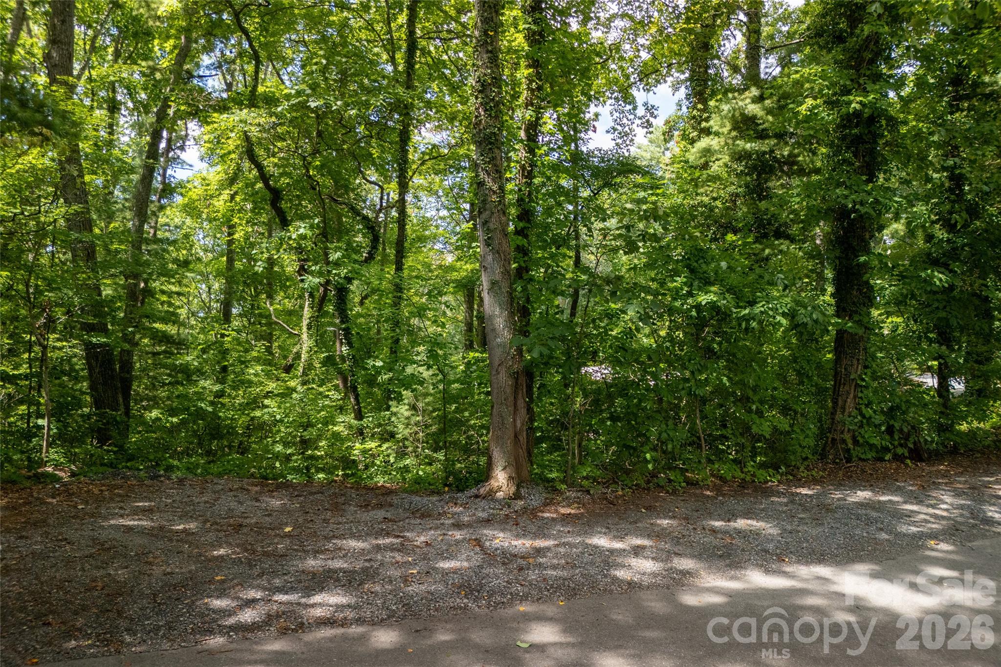 Buffalo Mountain - Land