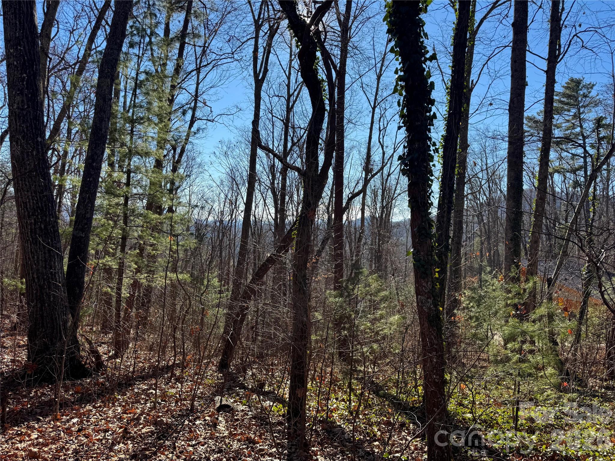 Buffalo Mountain - Land