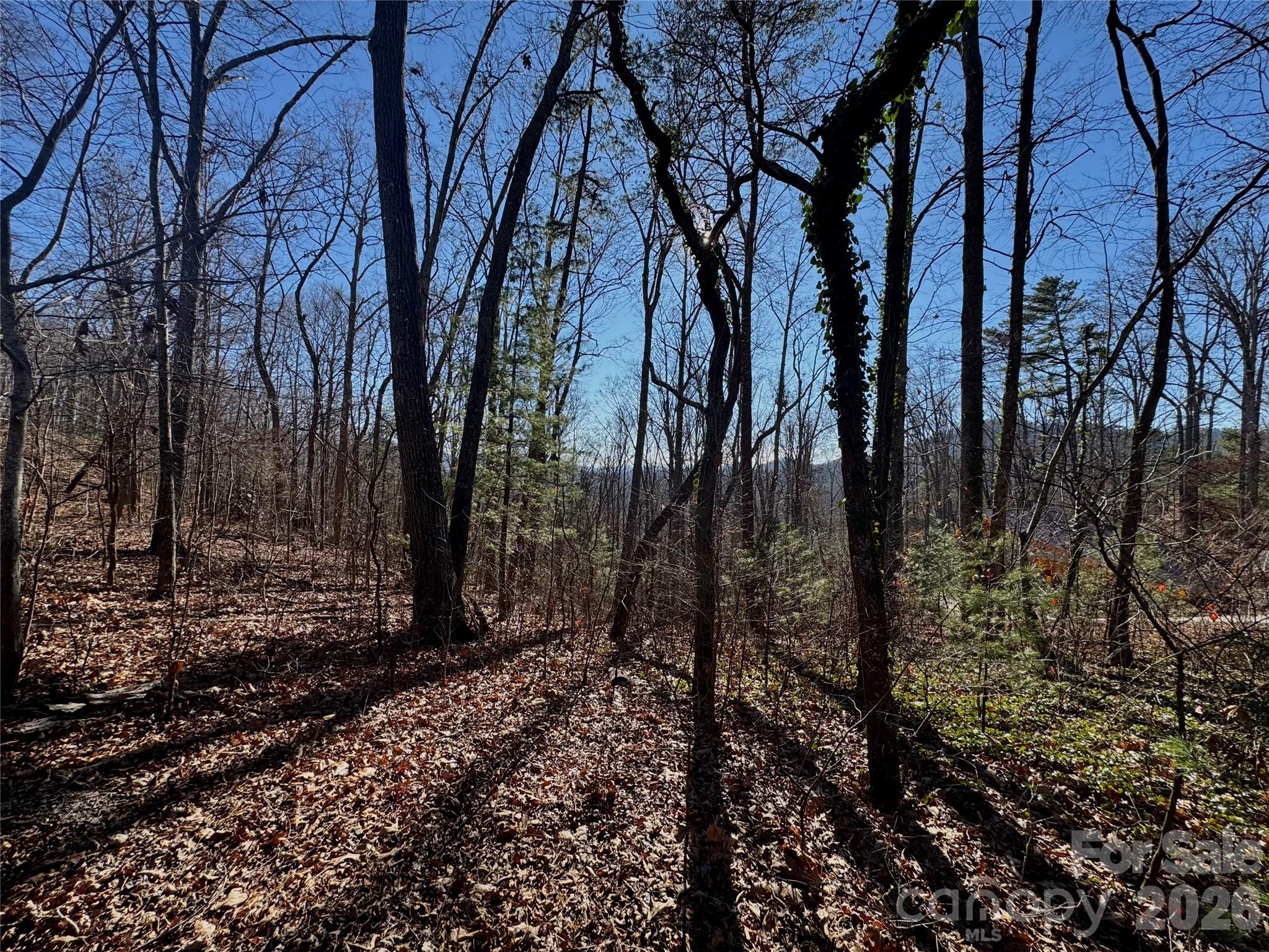 Buffalo Mountain - Land