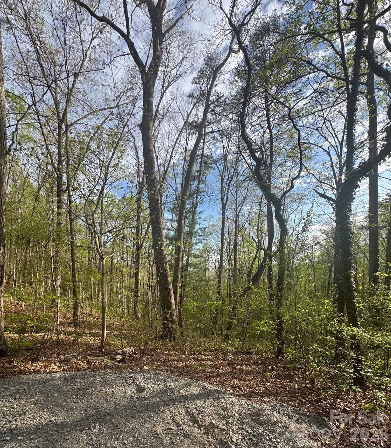 Buffalo Mountain - Land