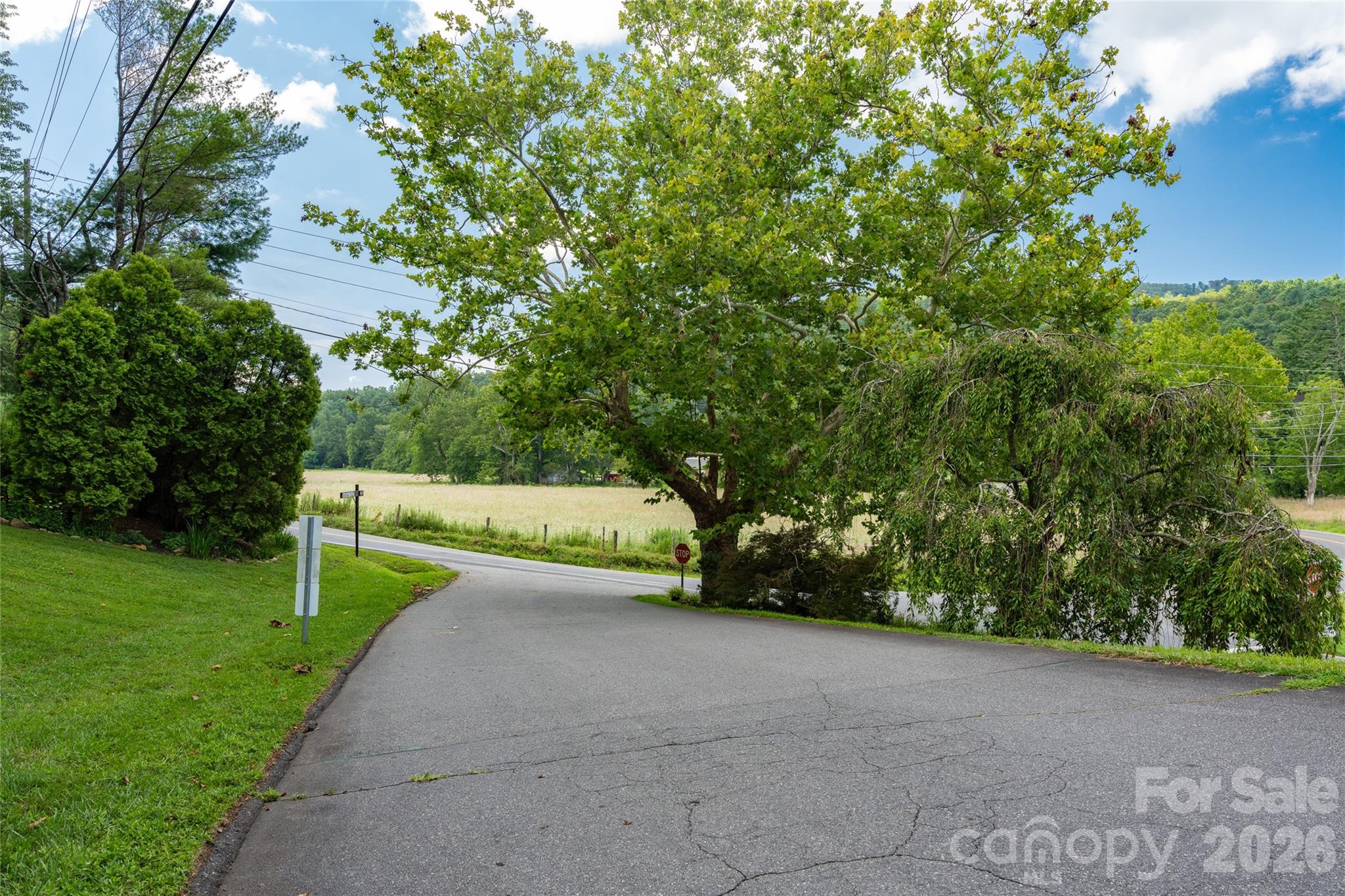 Buffalo Mountain - Land
