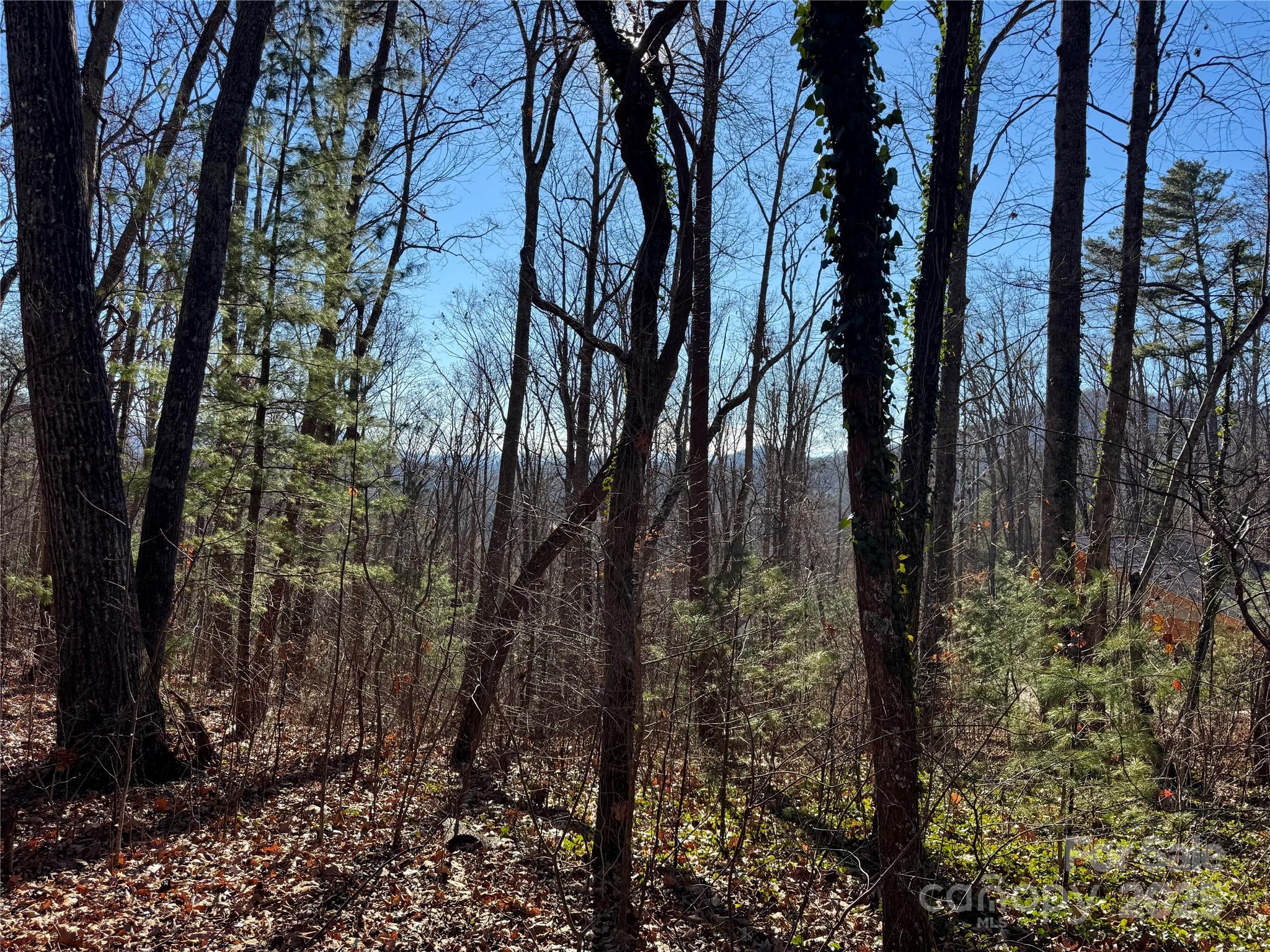 99999 Buffalo Trail 86