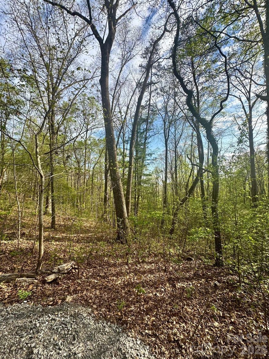 Build your dream home in desirable Buffalo Mountain. Buffalo Mountain is in the scenic Riceville Valley and only 15 minutes to downtown Asheville. Also, convenient to The Blue Ridge Parkway, The VA Medical Center and many of WNC's outdoor adventures. Enjoy mountain living with convenience of being close to everything Asheville has to offer. The lot offers a nice winter view potential and is surrounded by native wildlife and lush natural flora, creating a picturesque and tranquil setting. Buffalo Mountain features paved roads and city water (managed through the HOA). A septic authorization on file from 2022 but buyers are encouraged to conduct their own perc test to confirm suitability for their building plans. See MLS attachments for survey, building guidelines and other related documents. See agent remarks. Only a short drive to Asheville’s vibrant dining, arts and culture scene. The Buffalo Mountain community hosts a variety of social activities throughout the year for residents to enjoy. Owner is a licensed real estate agent in North Carolina.