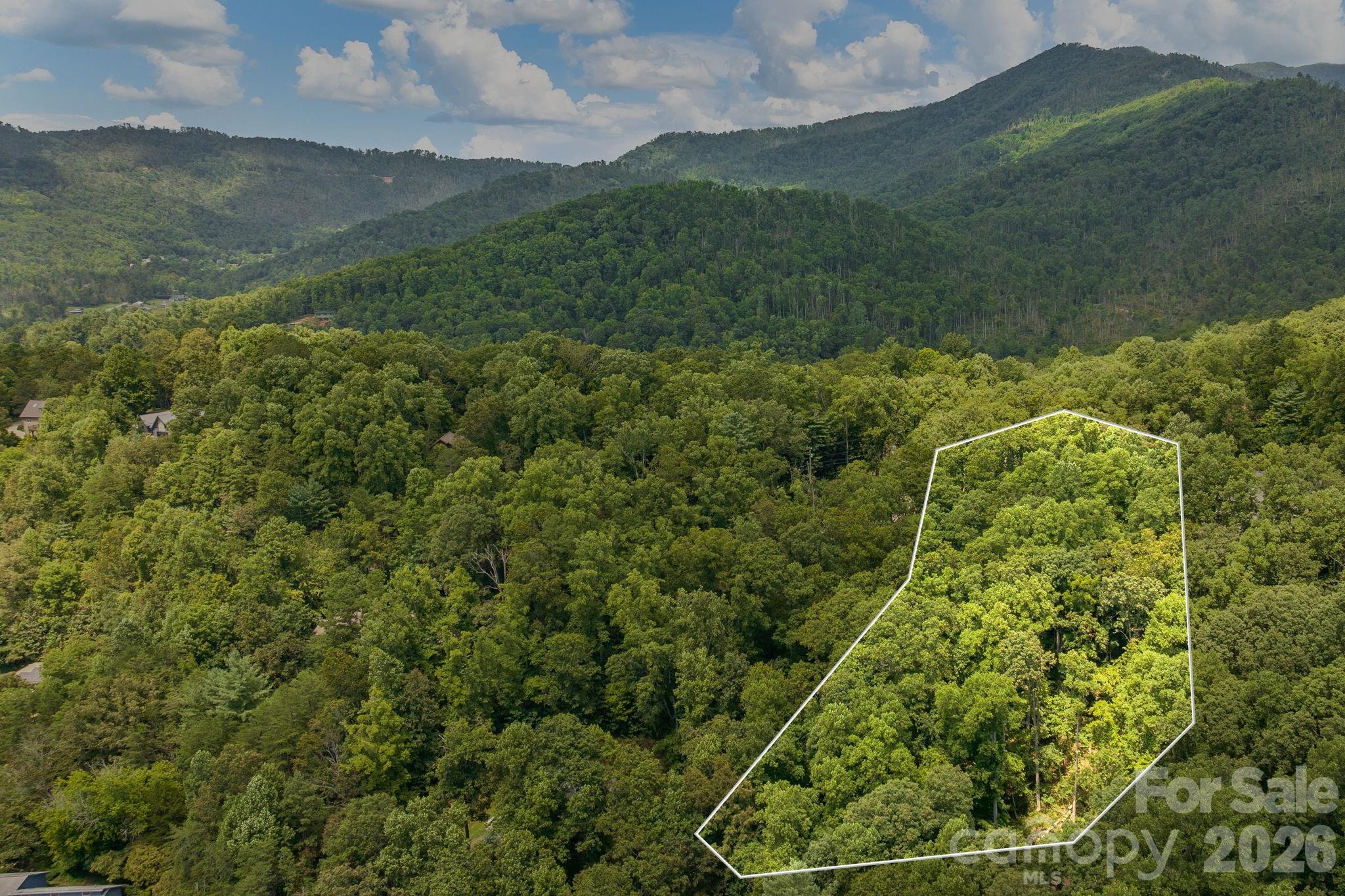 Buffalo Mountain - Land