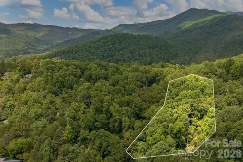 99999 Buffalo Trail 86 Asheville NC 28805