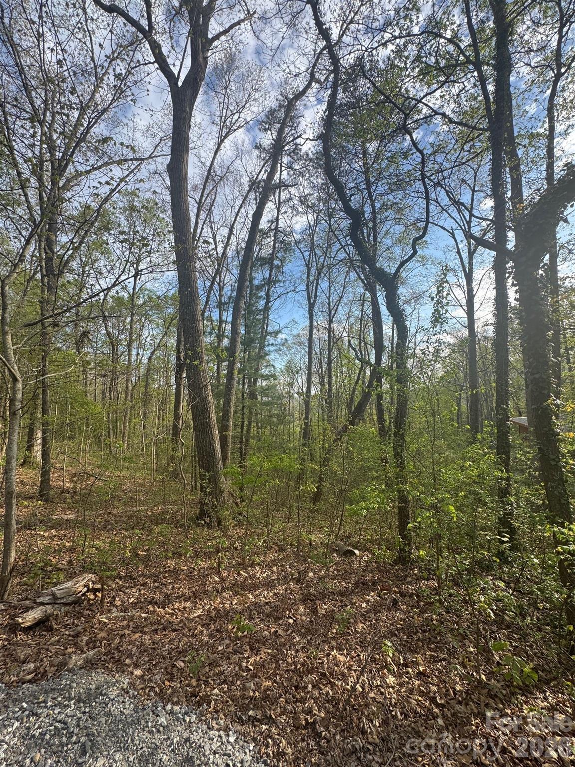 99999 Buffalo Trail 86