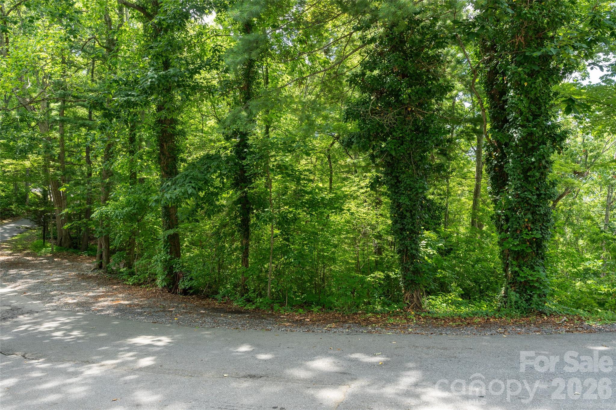 Buffalo Mountain - Land