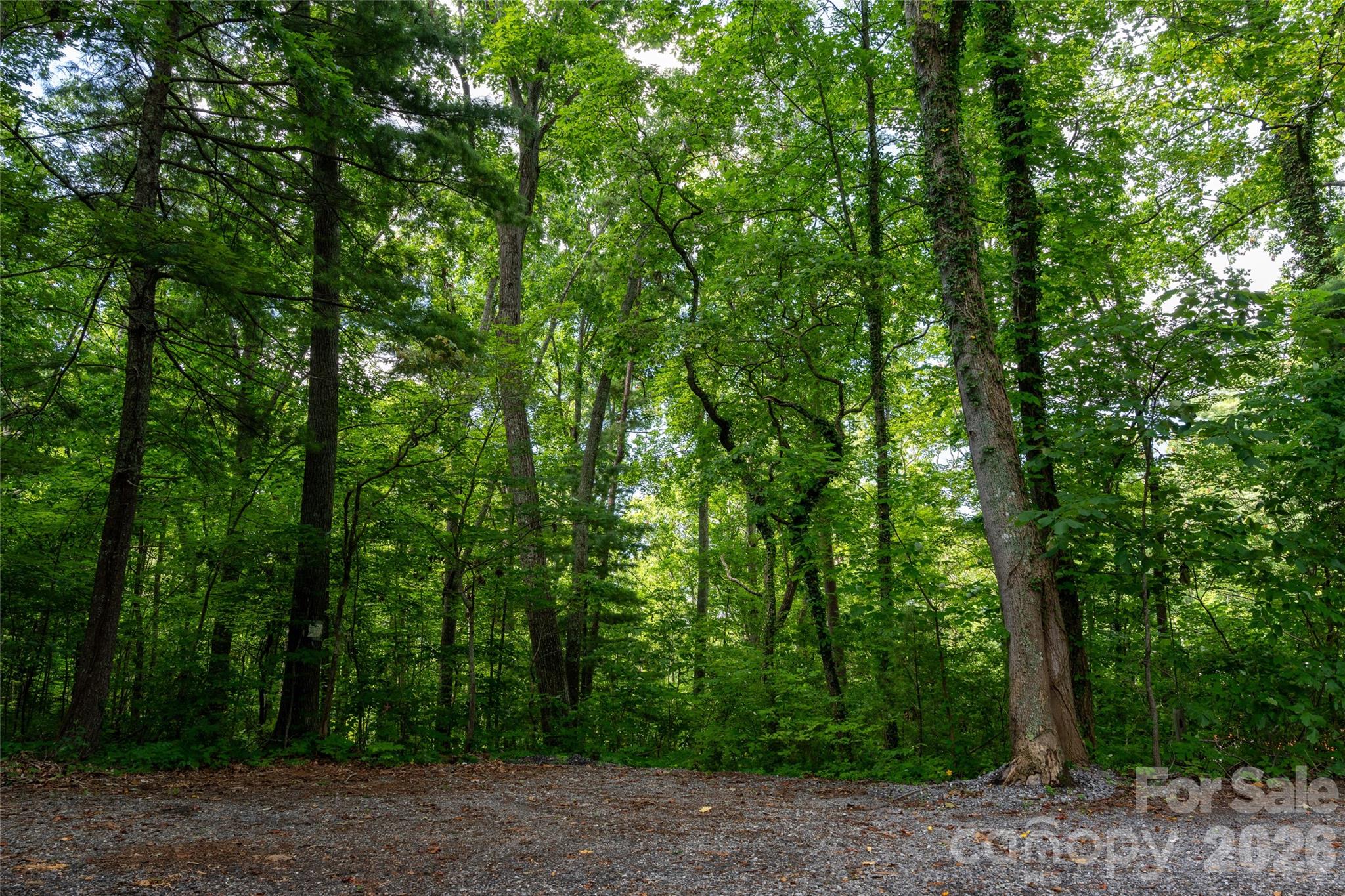 Buffalo Mountain - Land