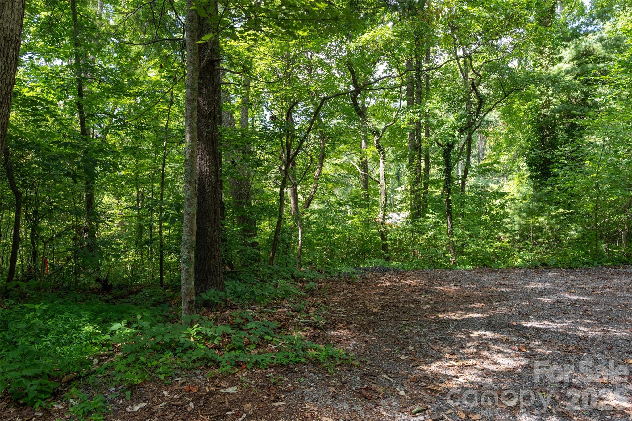 Buffalo Mountain - Land