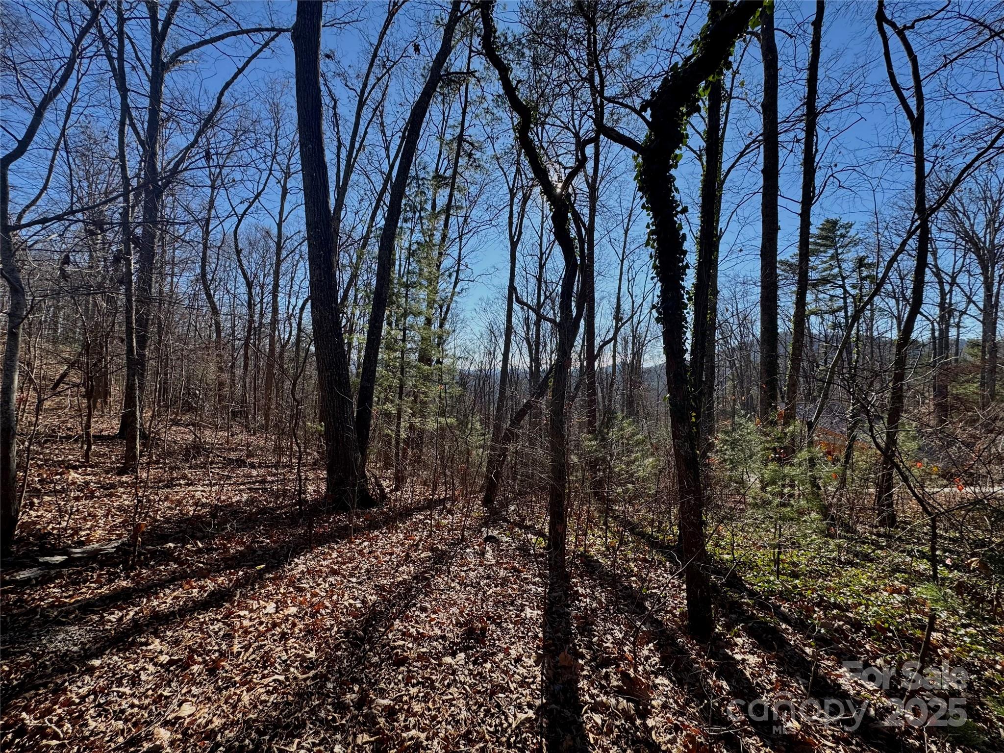 99999 Buffalo Trail 86