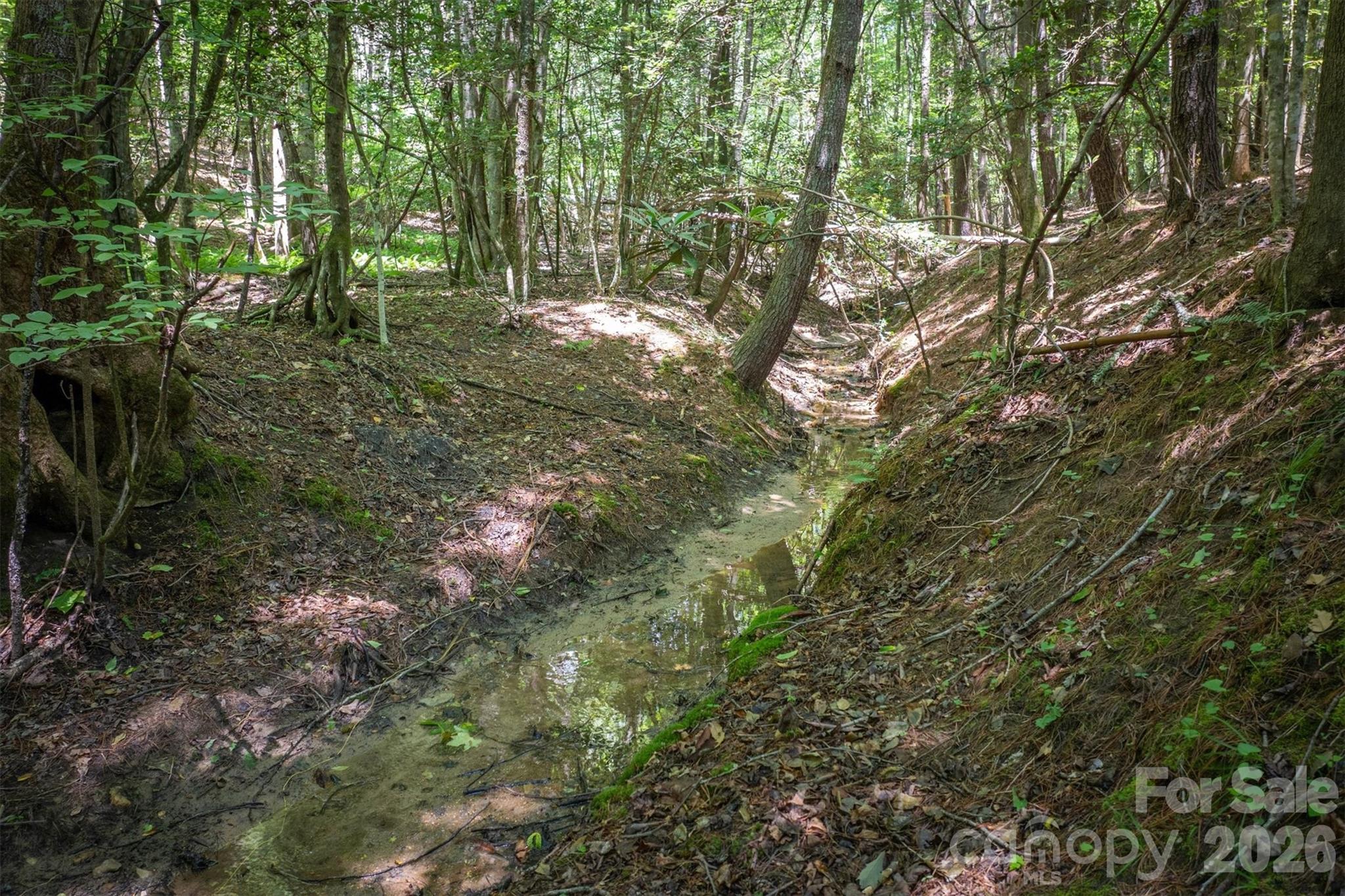 Cottage Park - Residential