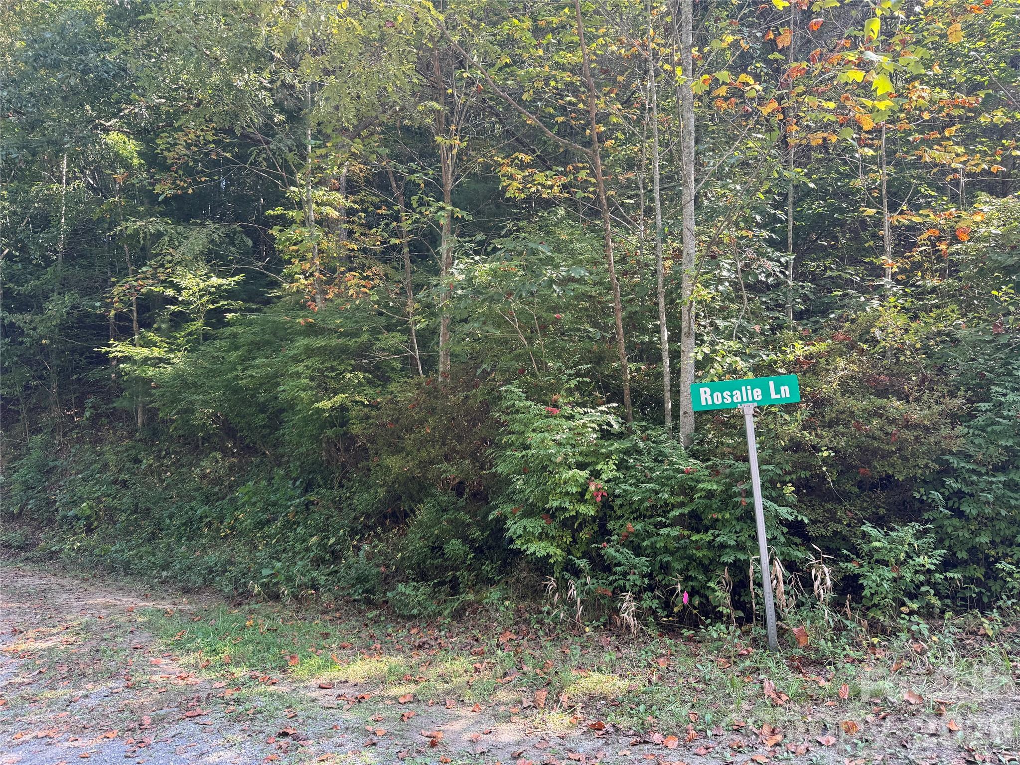 000A Bobcat Road